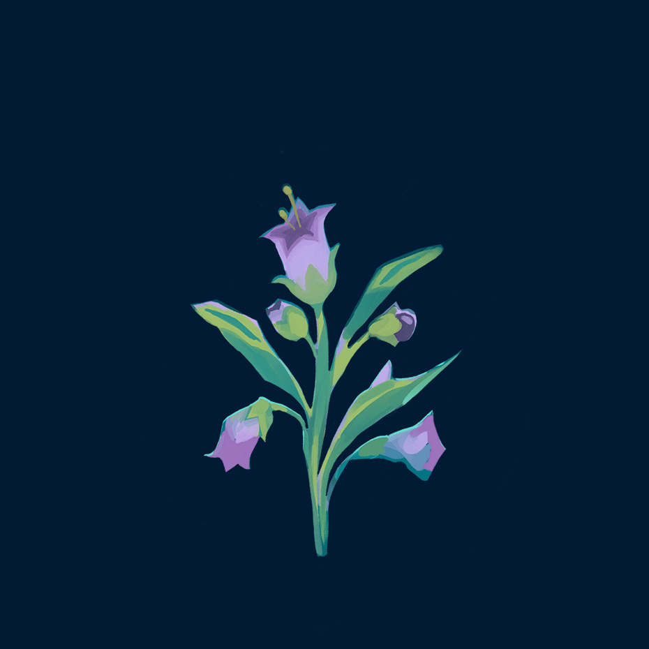 BELLADONNA_TEST-VIDEO.gif