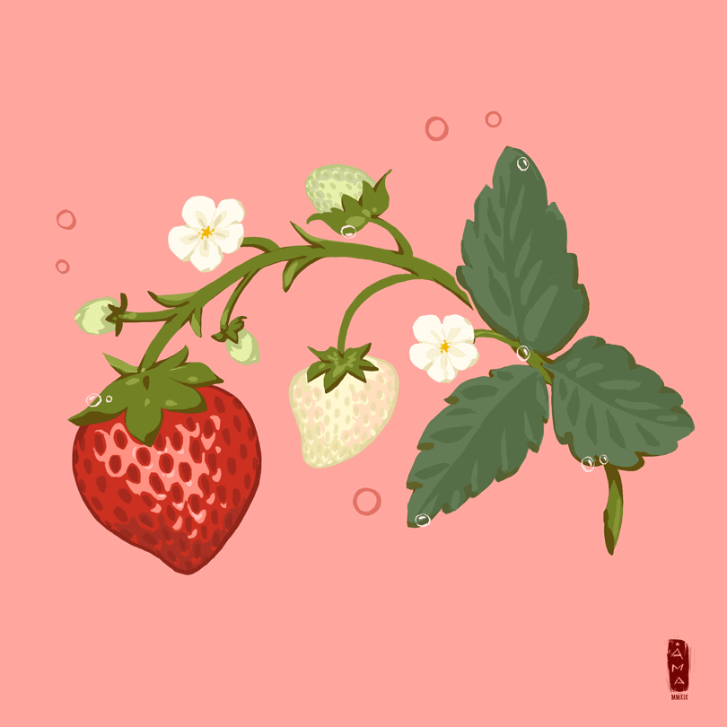 StrawberryLoop.gif