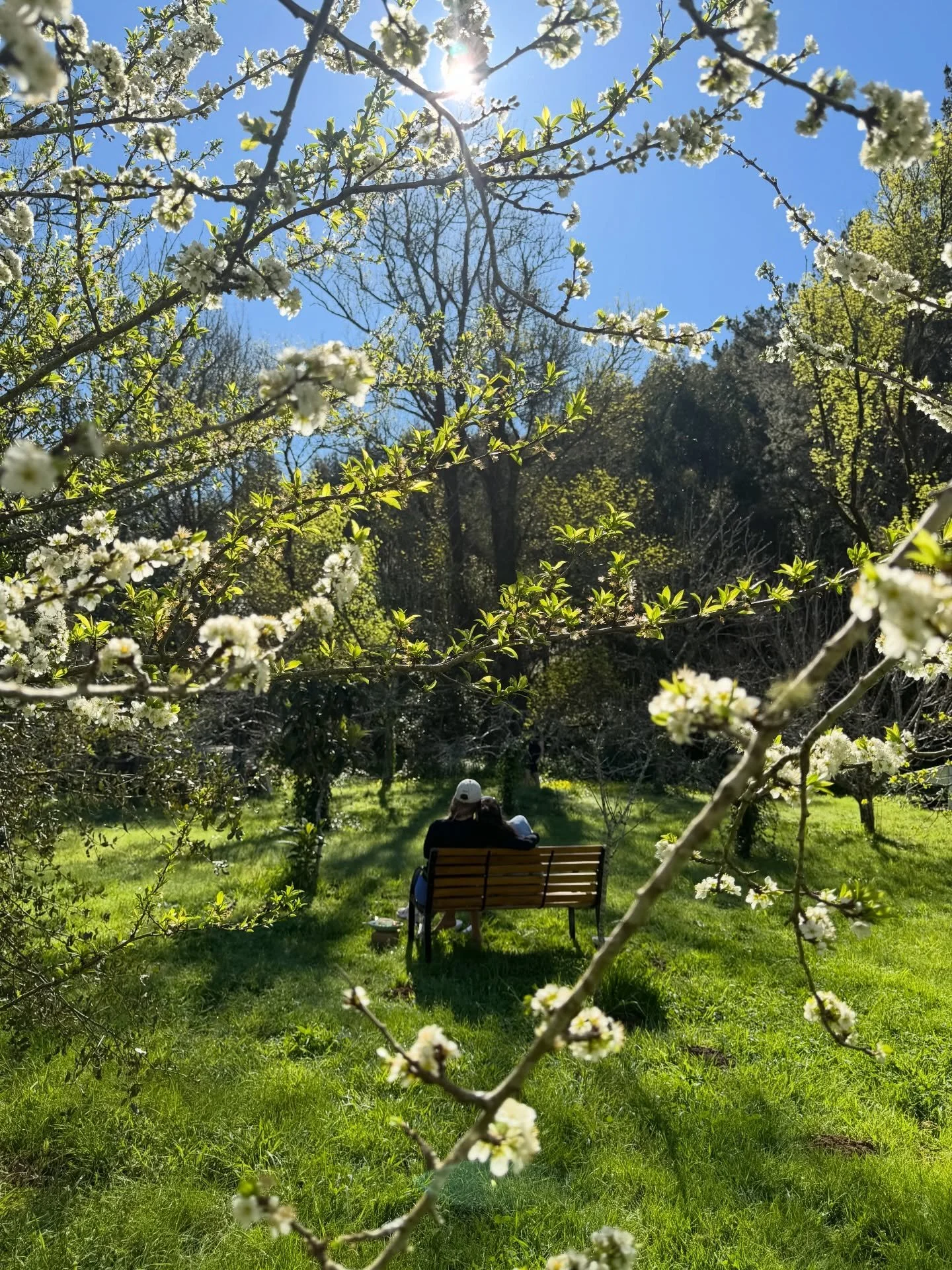 A little lost for words to capture these last three intense, beautiful, heart-opening weeks in Portugal with these now freshly certified yoga teachers - who blew me away with their wisdom and humour and love and sweetness and endless inspiration. 

G