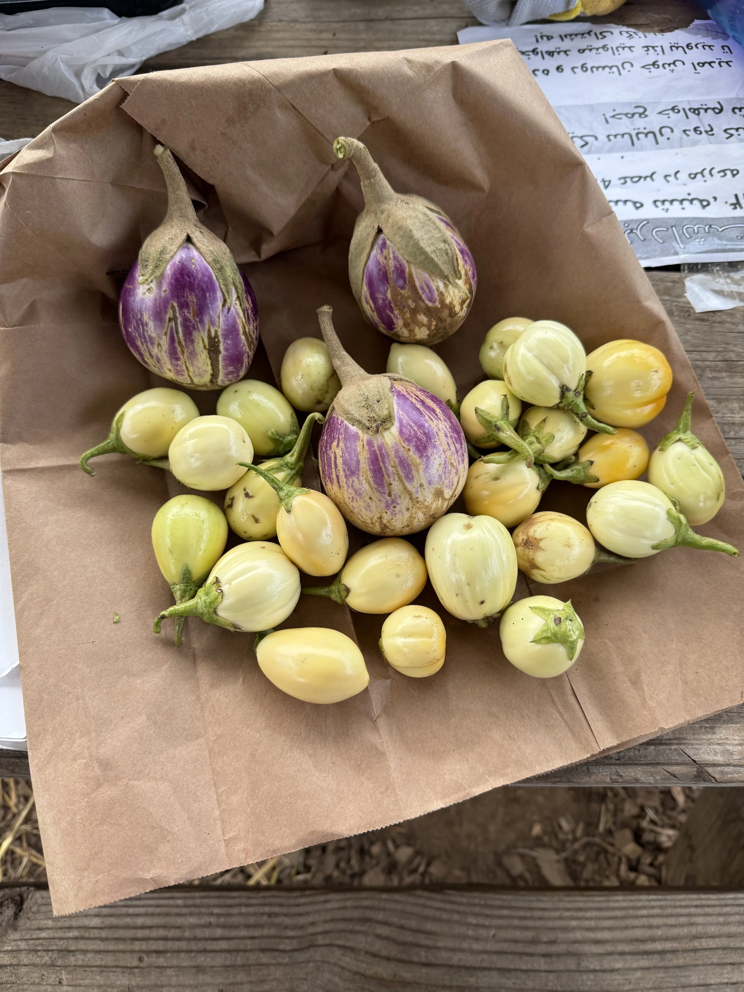 Harvest Gifts, New Roots Farm, Charlottesville VA, 2026