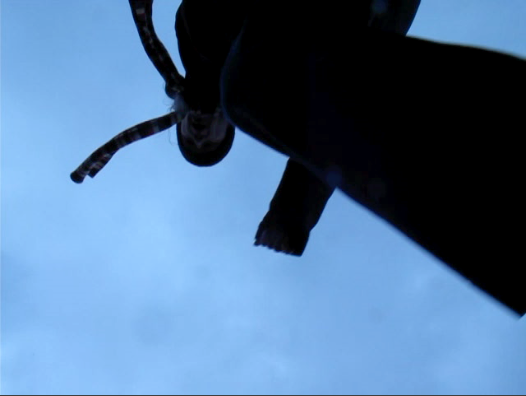 Dream Repeater: Tornado
Video Still