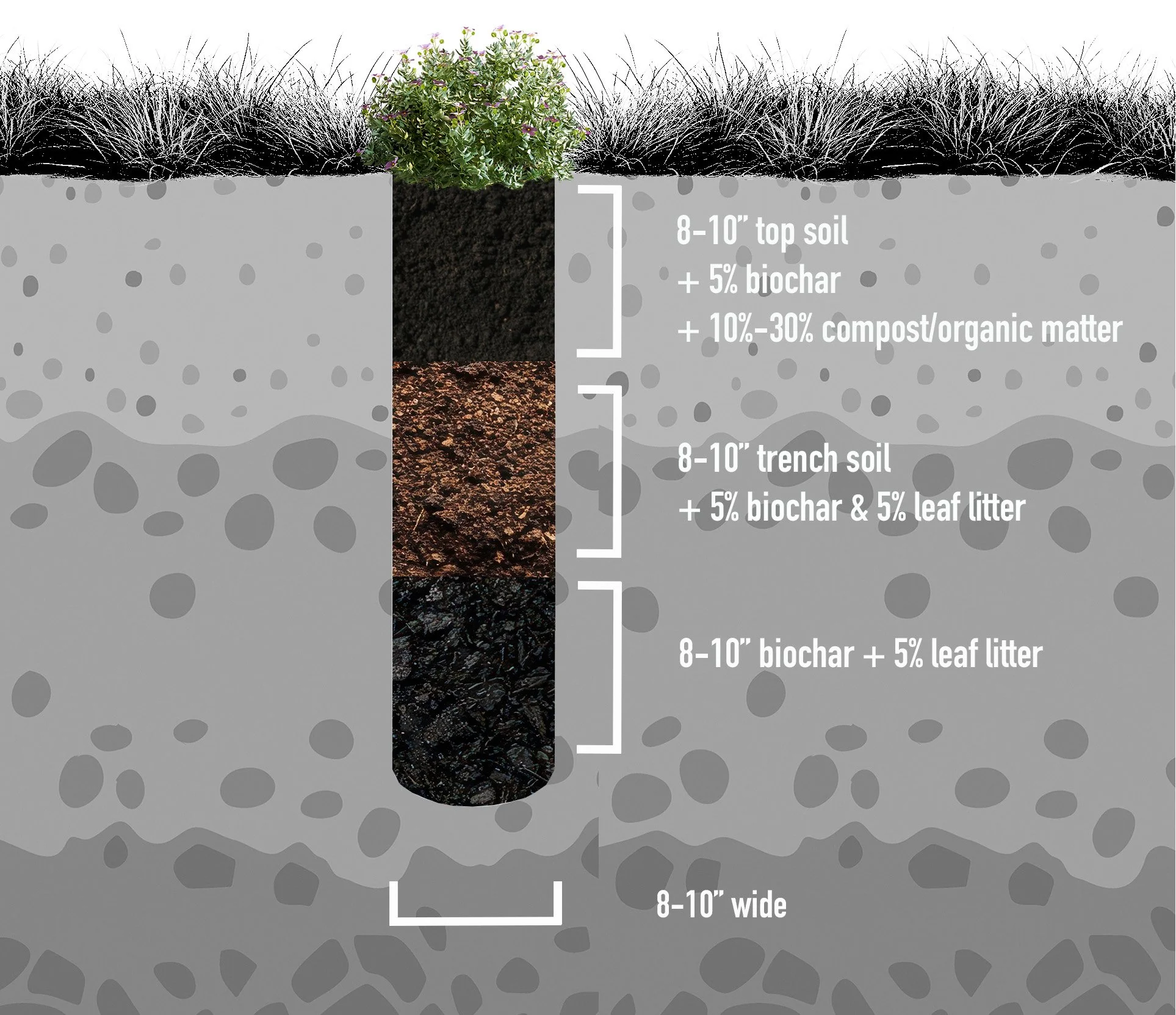 Biochar Drawing, Cross Section Diagram