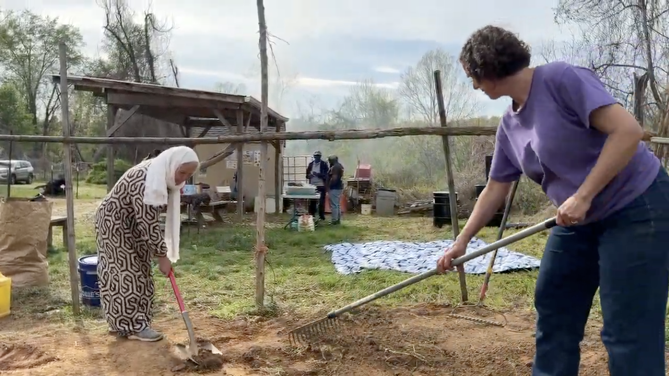 Finalizing the Drawing, New Roots Farm, Charlottesville VA, 2025