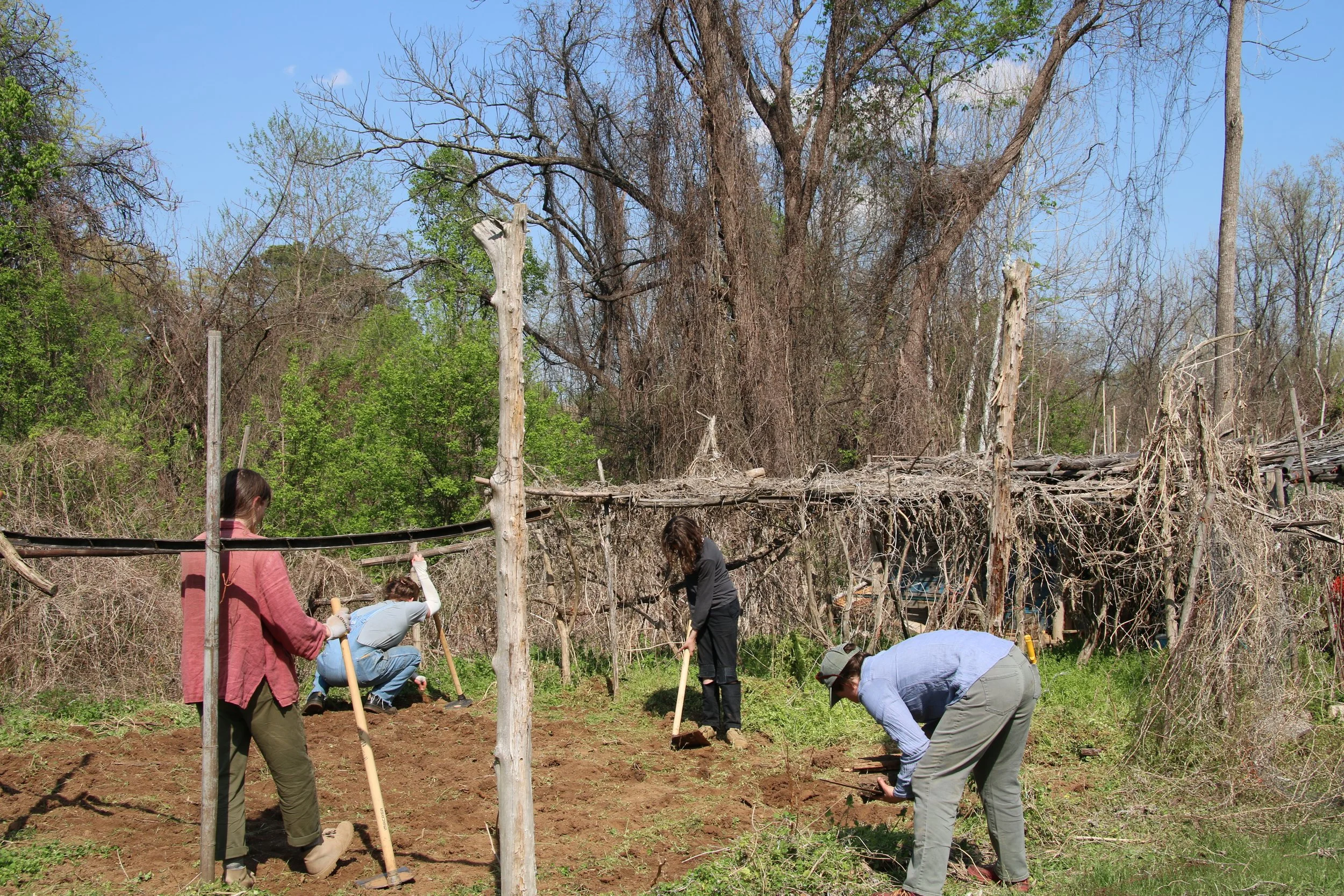 Clearing space for the Biochar Drawing, New Roots Farm, Charlottesville VA, 2026