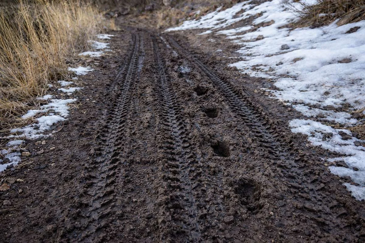 Freeze thaw example with visible bike tire marks and footprints.