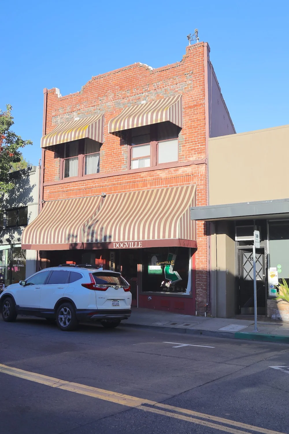 Dogville Pet Boutique