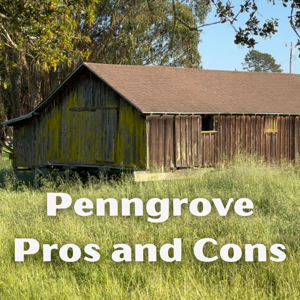 Pros and Cons of Moving to Penngrove, California