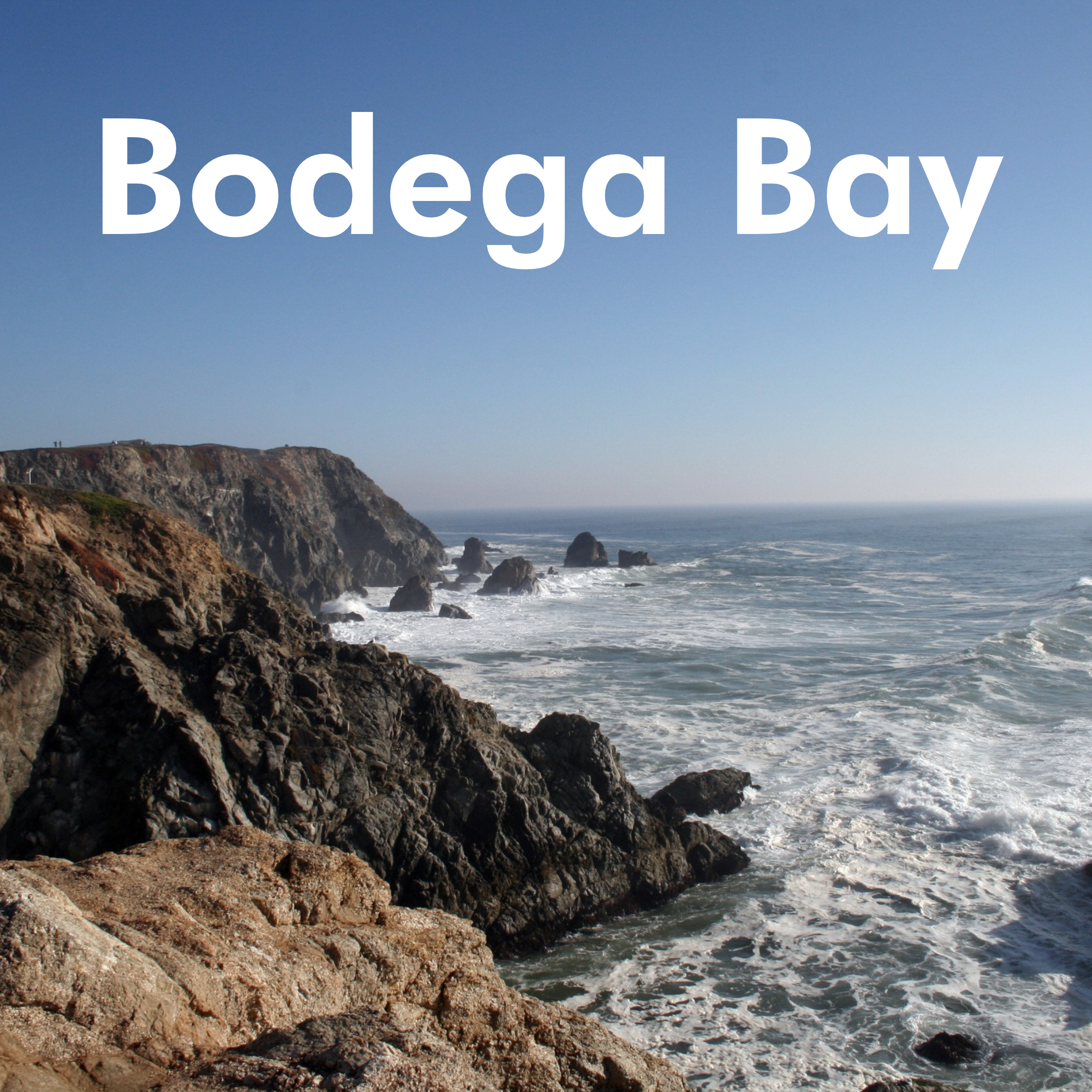 Moving to Bodega Bay, CA: Everything You Need to Know About Living on the Sonoma Coast