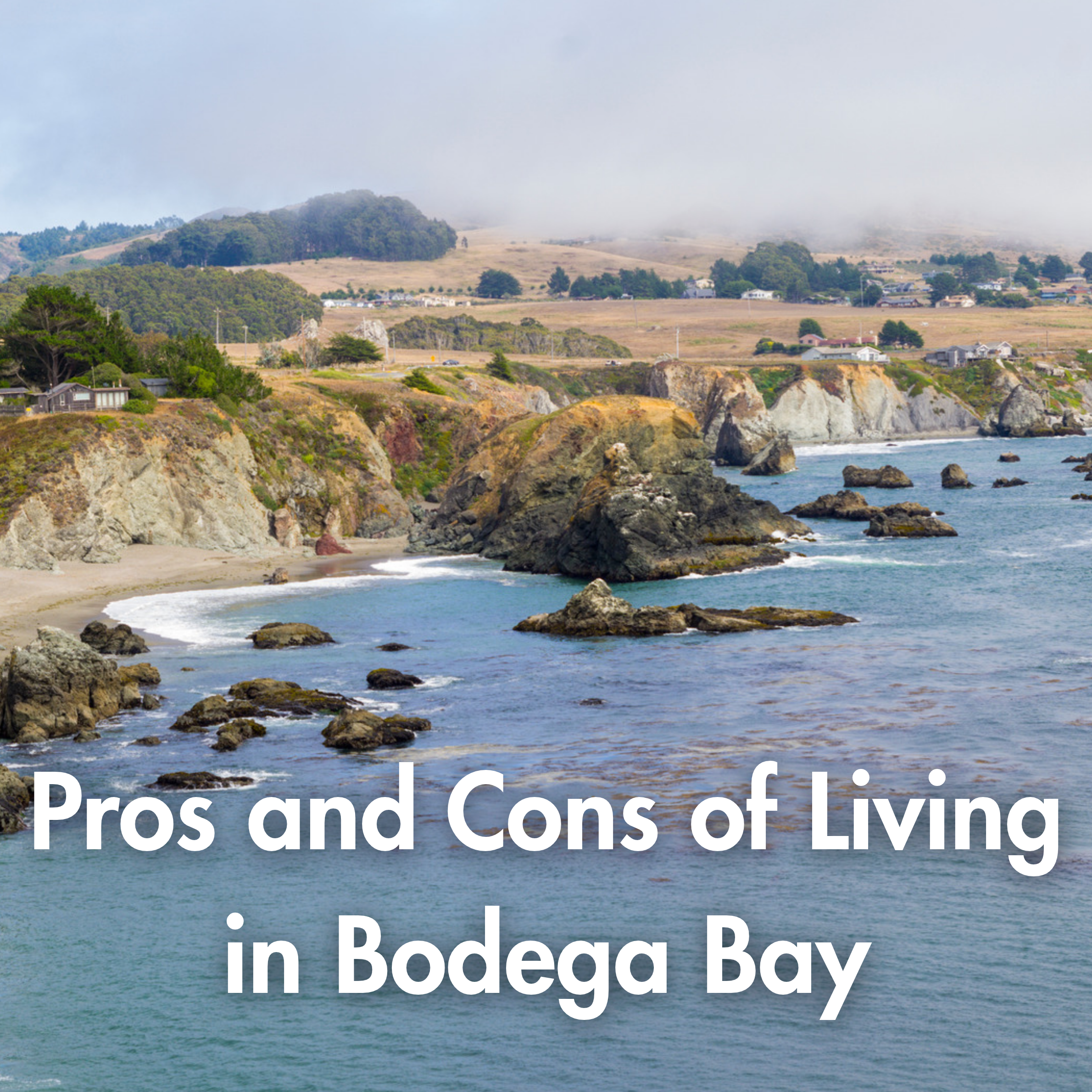 Pros and Cons of Living in Bodega Bay, CA | Local Guide
