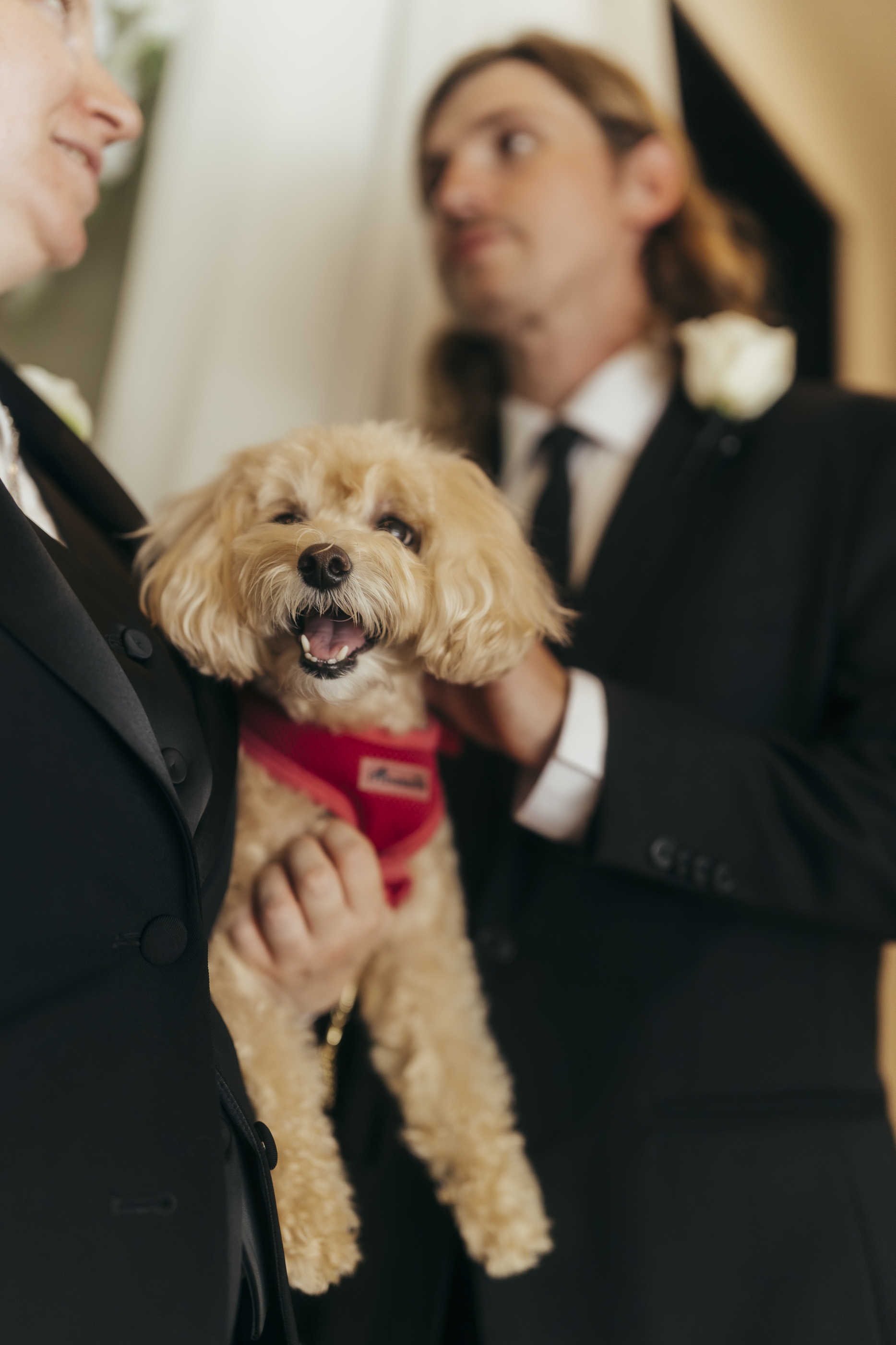 jawedding-49.png
