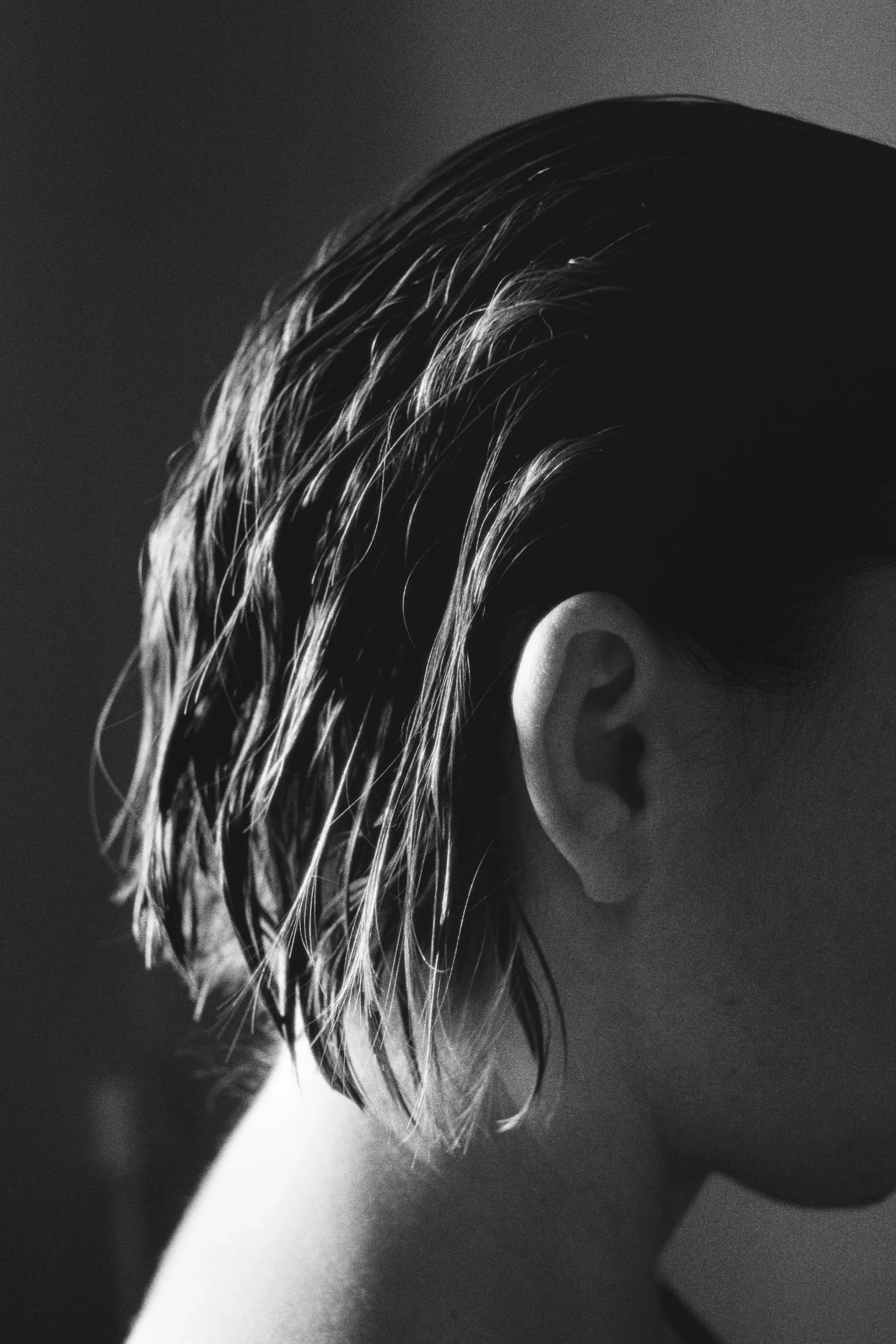 Untitled, 2025