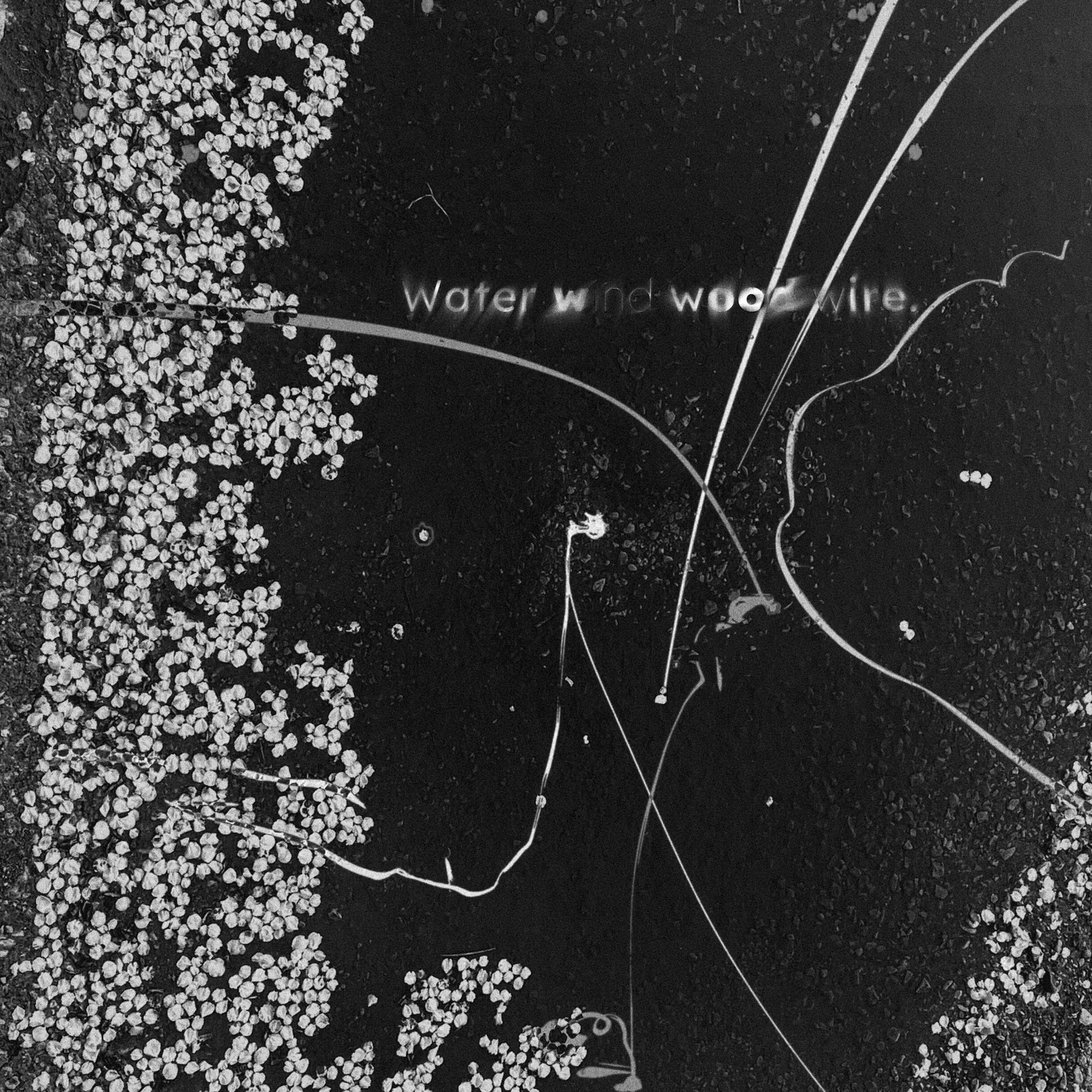 EP: Water wind wood wire.