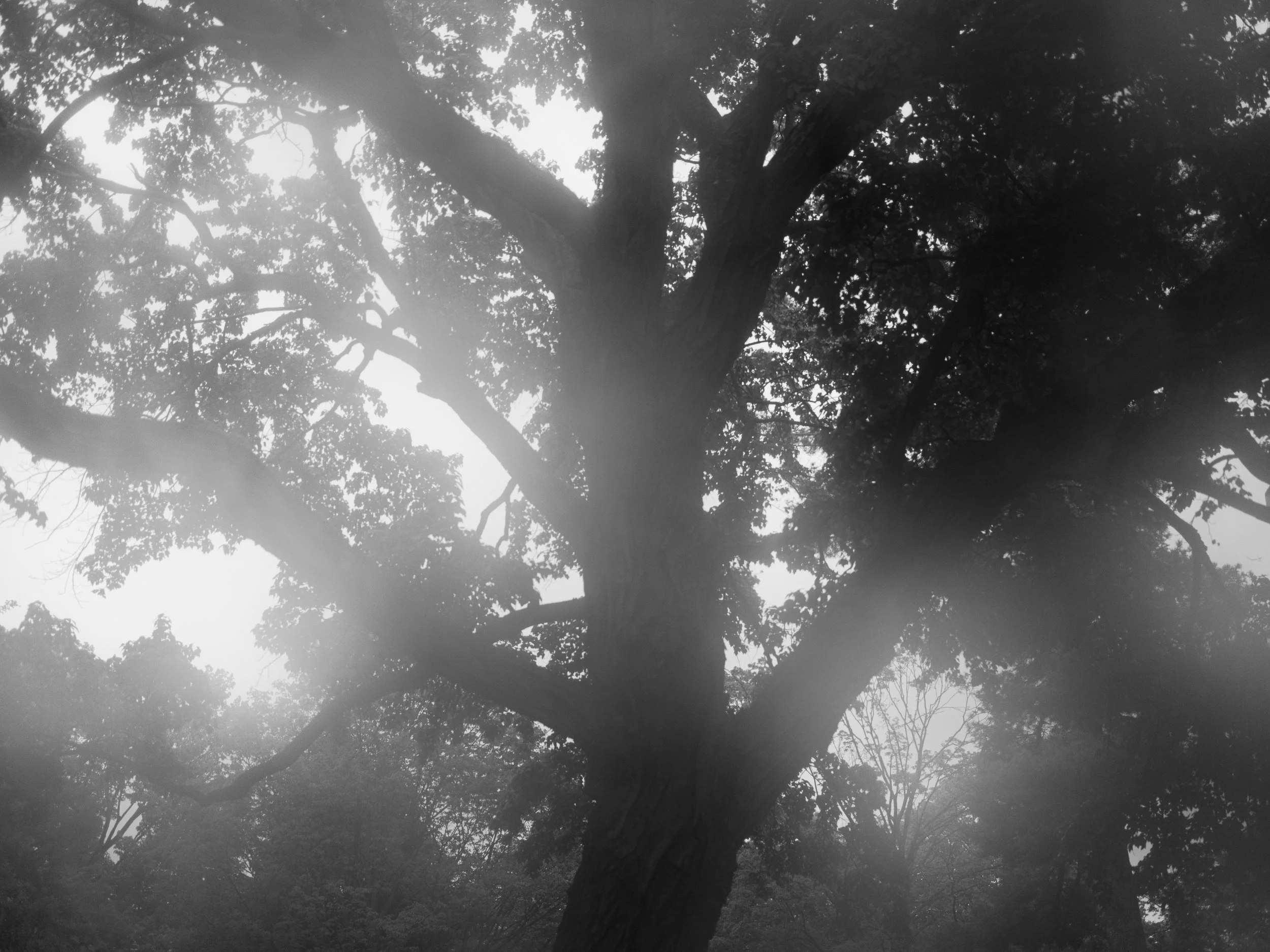 Diary_20260429_DSCF4761_EDITv001.jpg