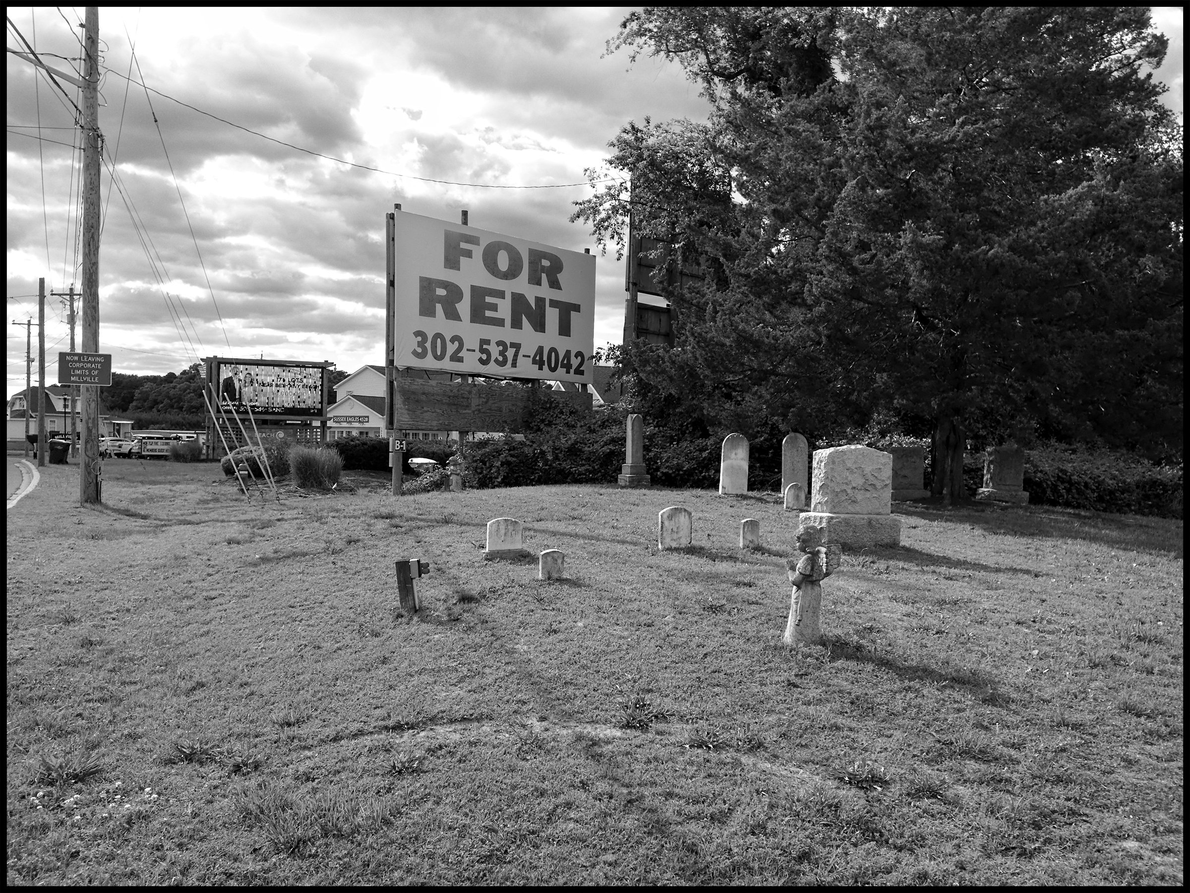 FPTR0007_EDITv001_6x8_300dpi.jpg