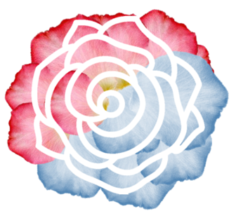 Divine Feminine Meditation Group