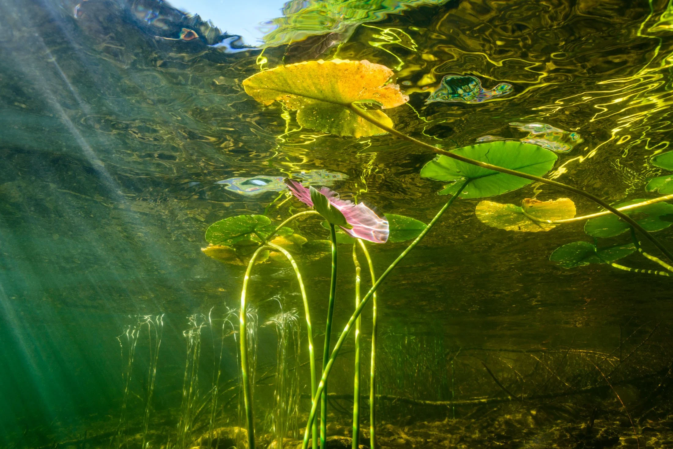 Pulled Out of Construct (Slowly)