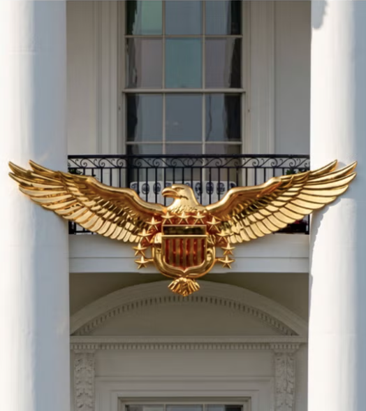 Freedom Flyer Eagle