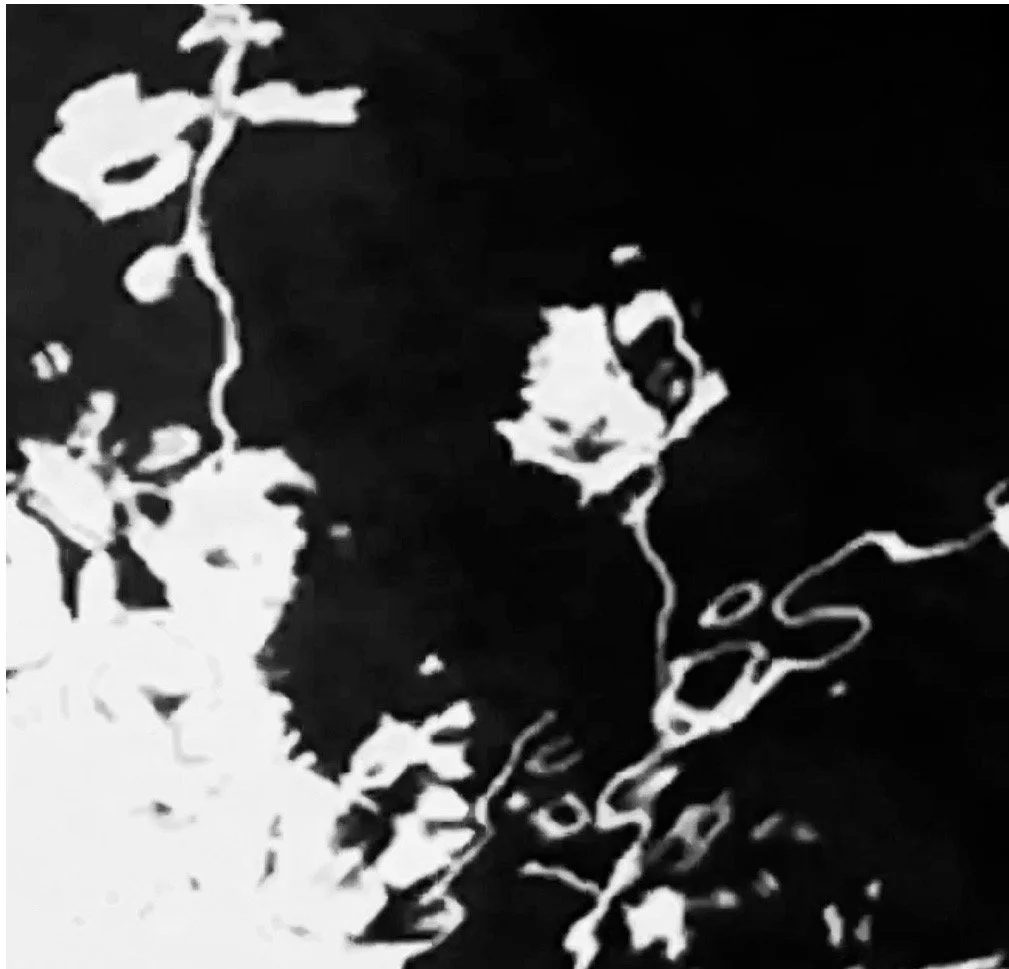 FILMS | art films, interviews, documented events and talks