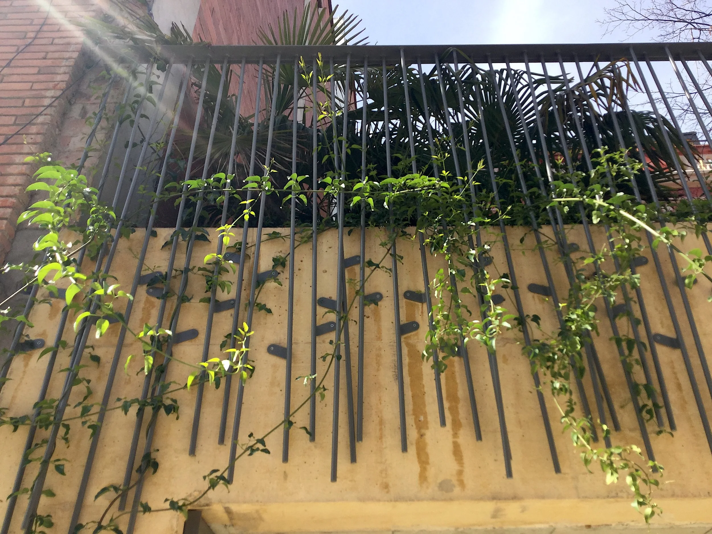 Plants start spreading outside the balustrade.