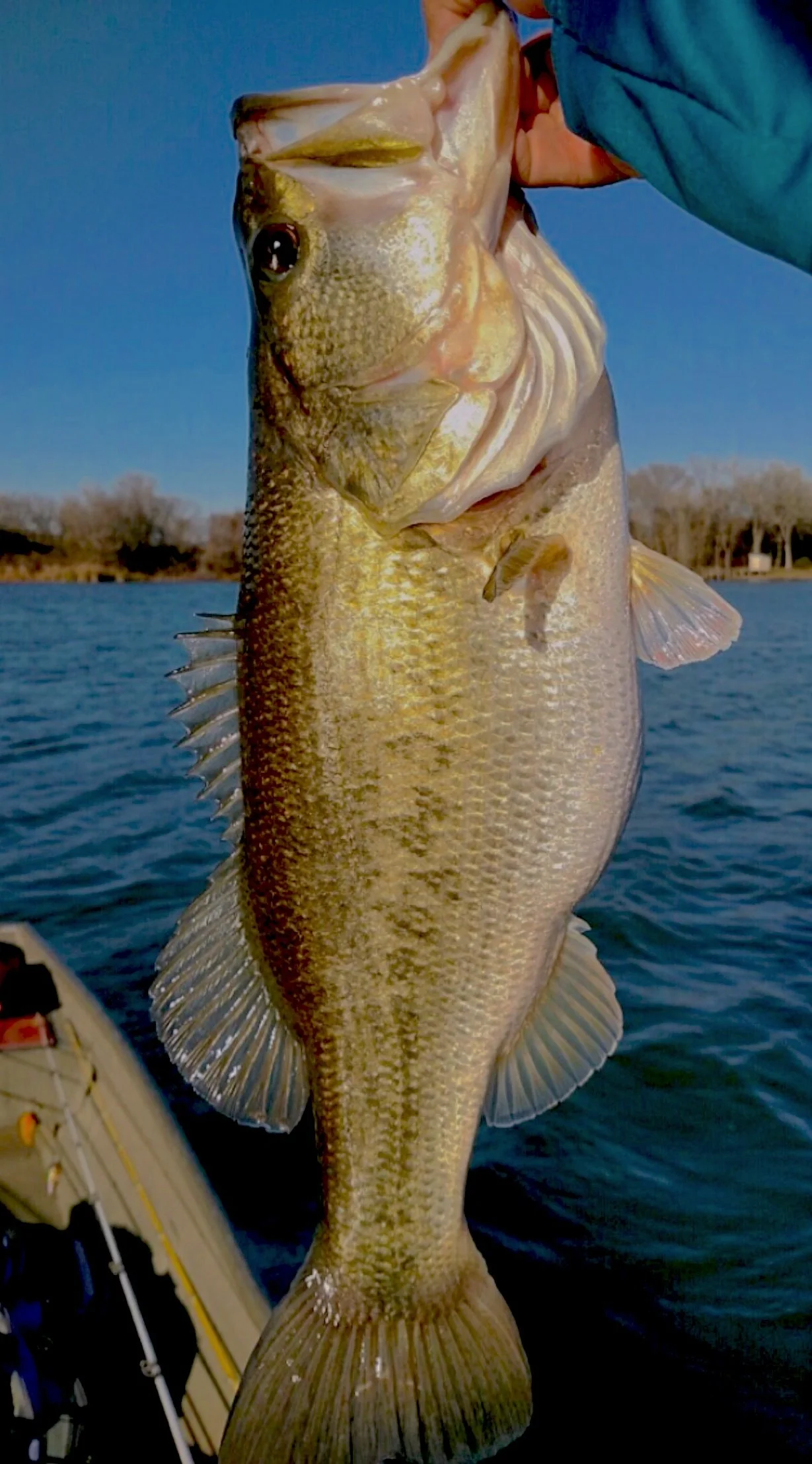 Screenshot 2021-12-20 at 8.18.51 PM.jpeg