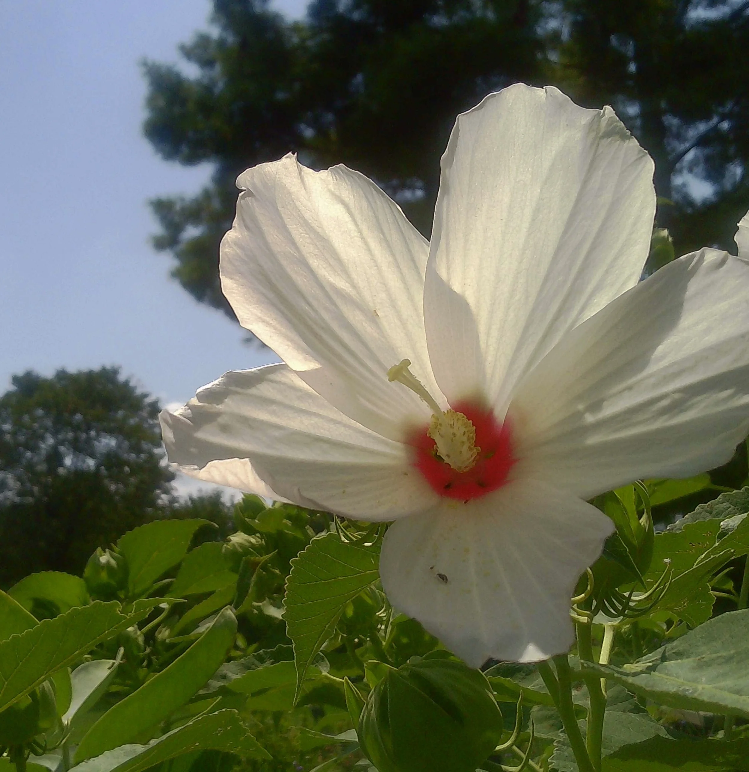 PICT0002.jpg