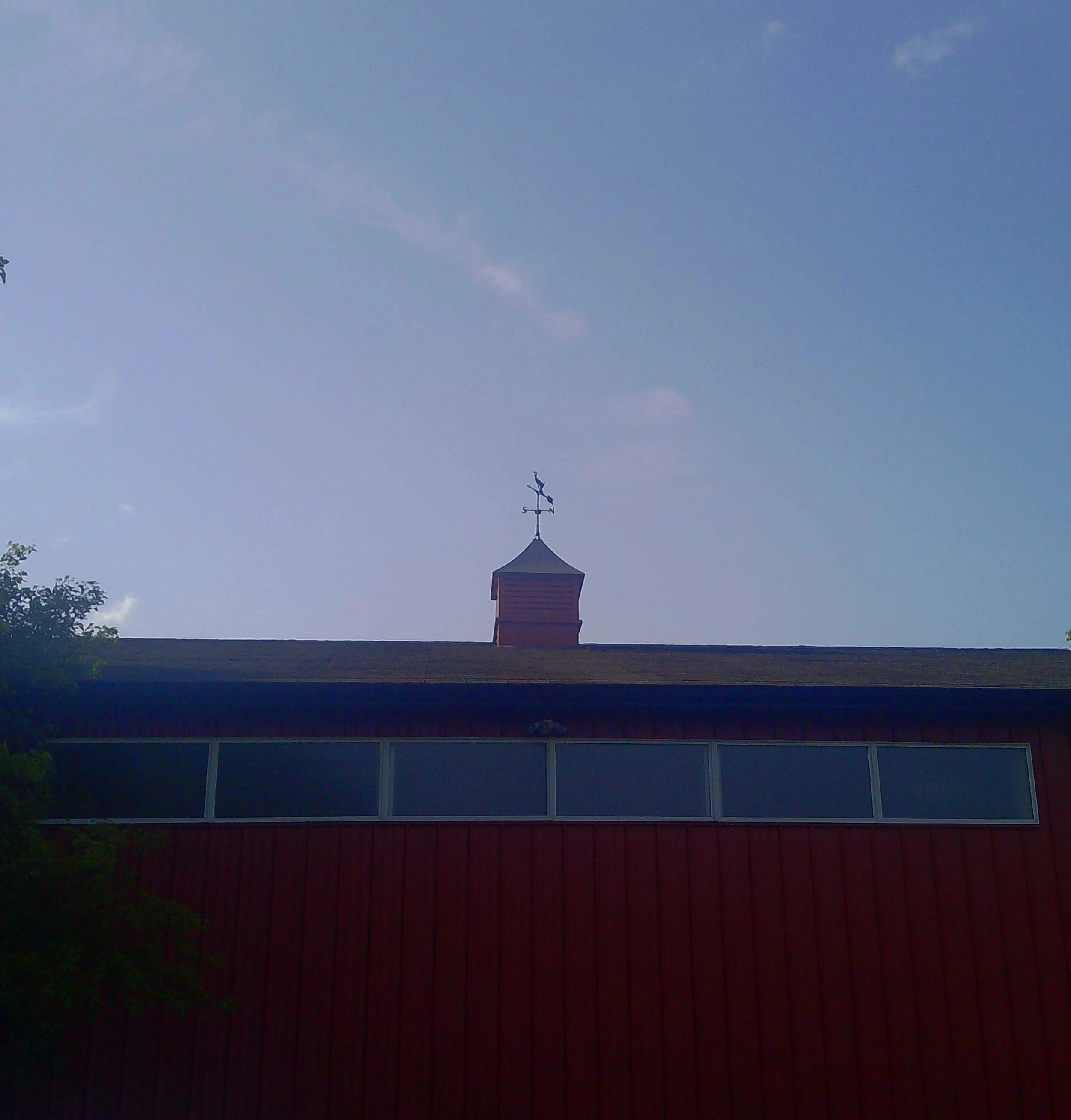 PICT0040.jpg