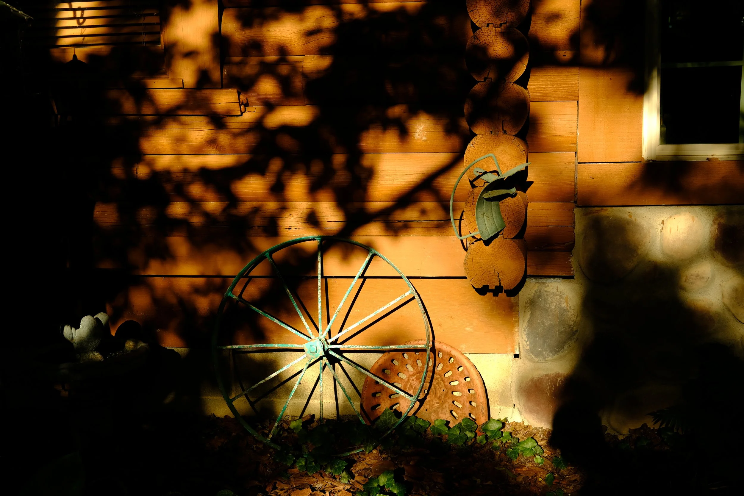 DSCF3883.JPG