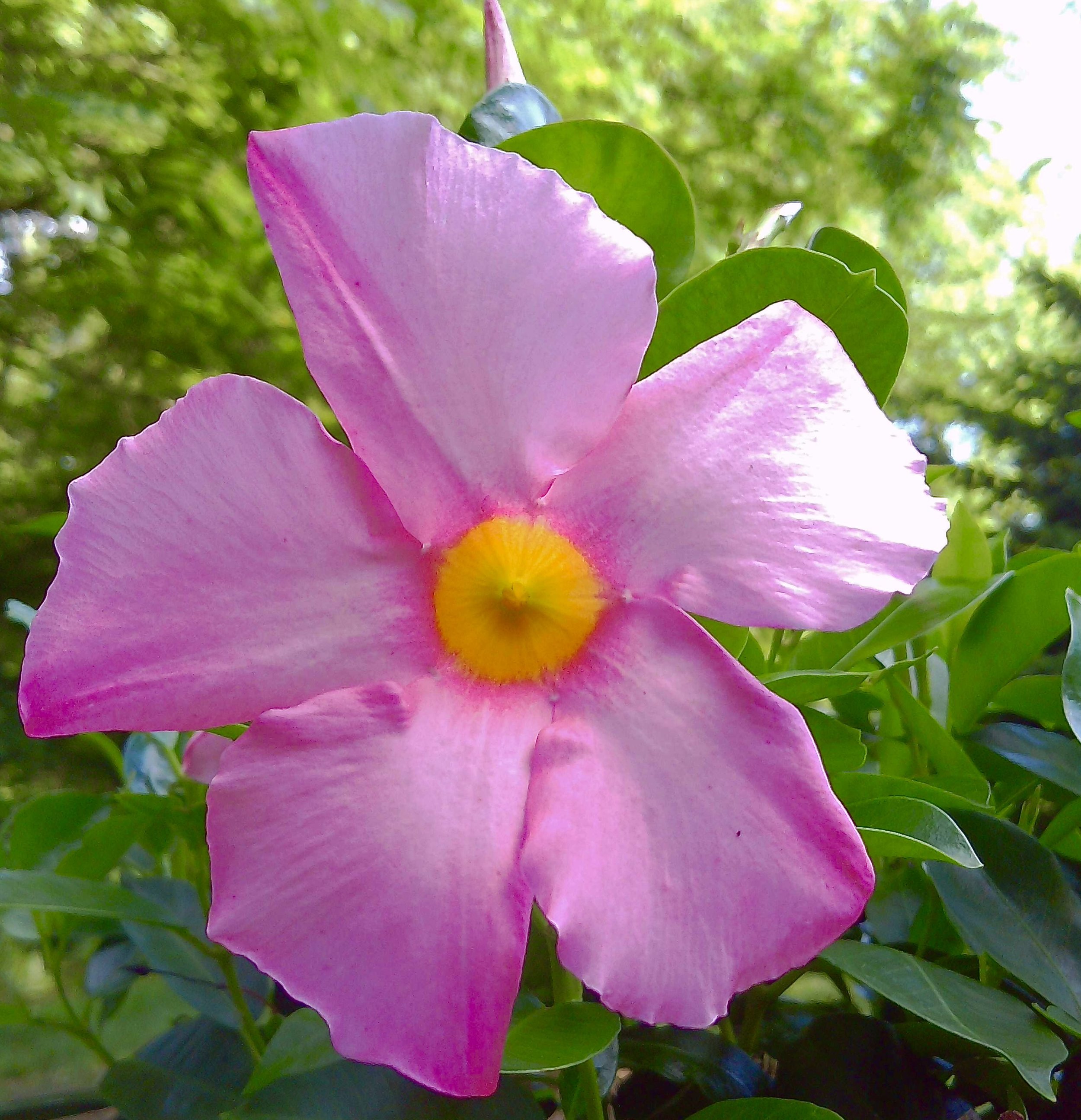 PICT0057.jpg