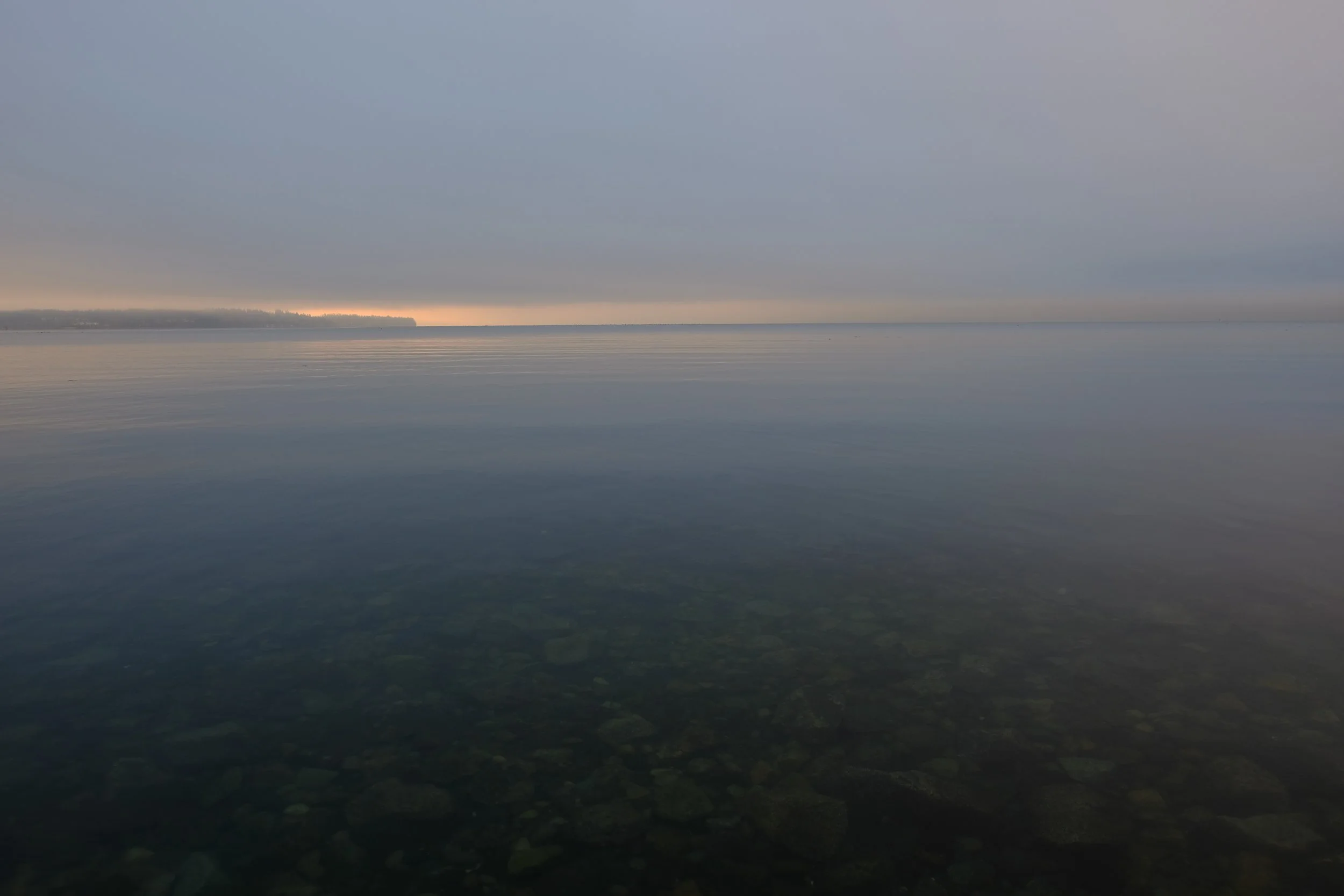 DSCF2600.JPG