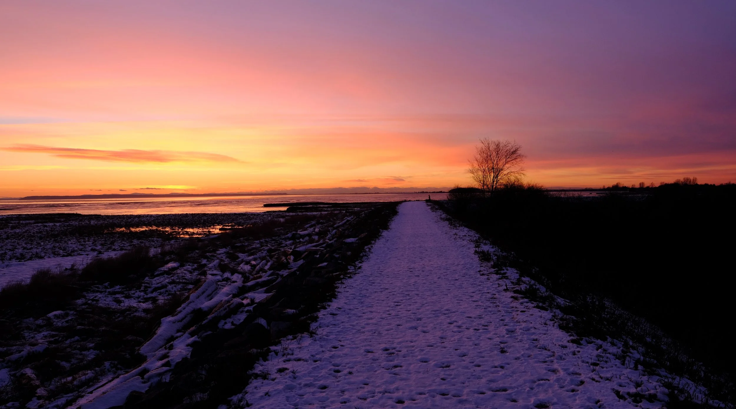 DSCF4529.jpg