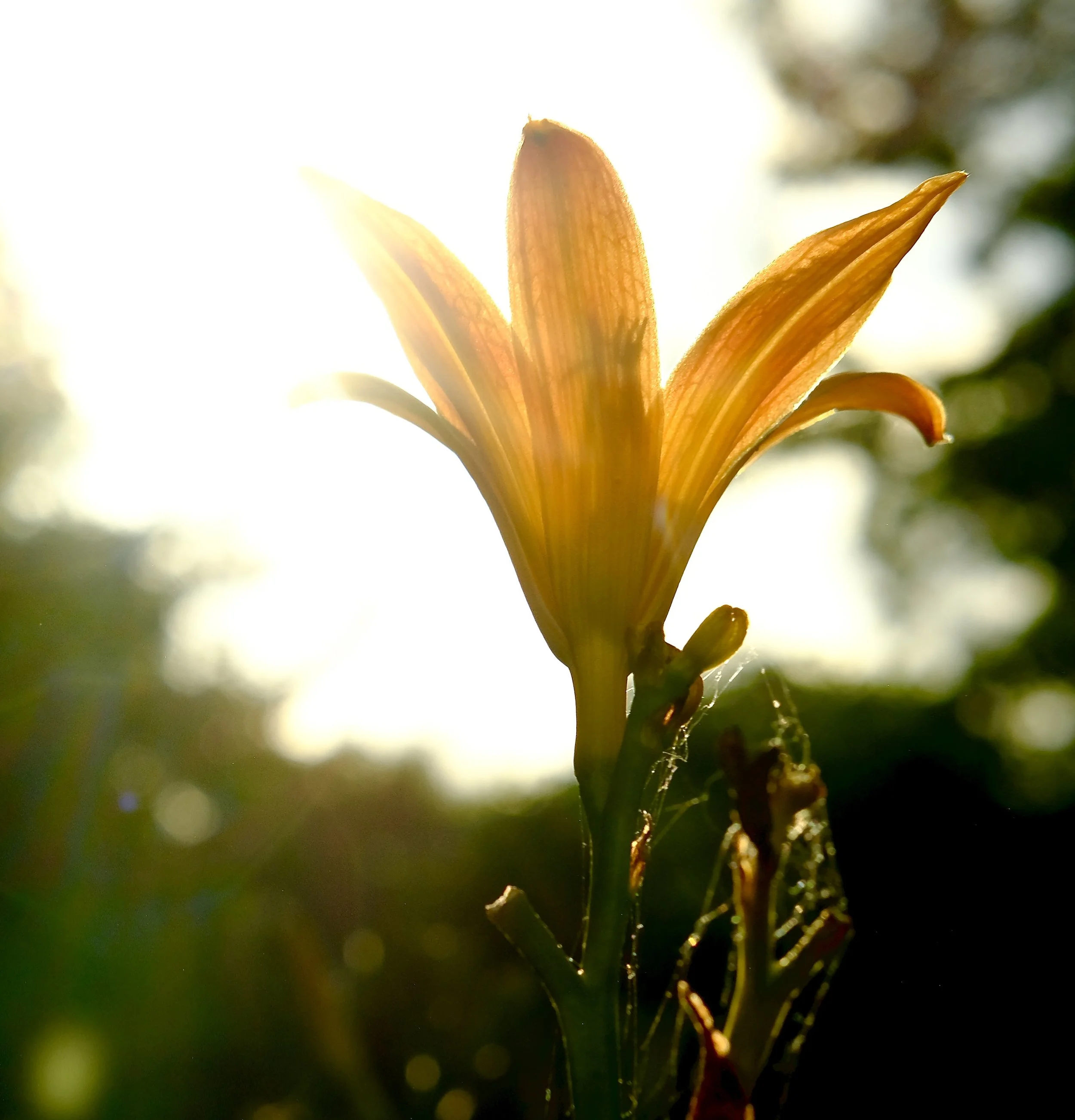 DSCF5503.JPG