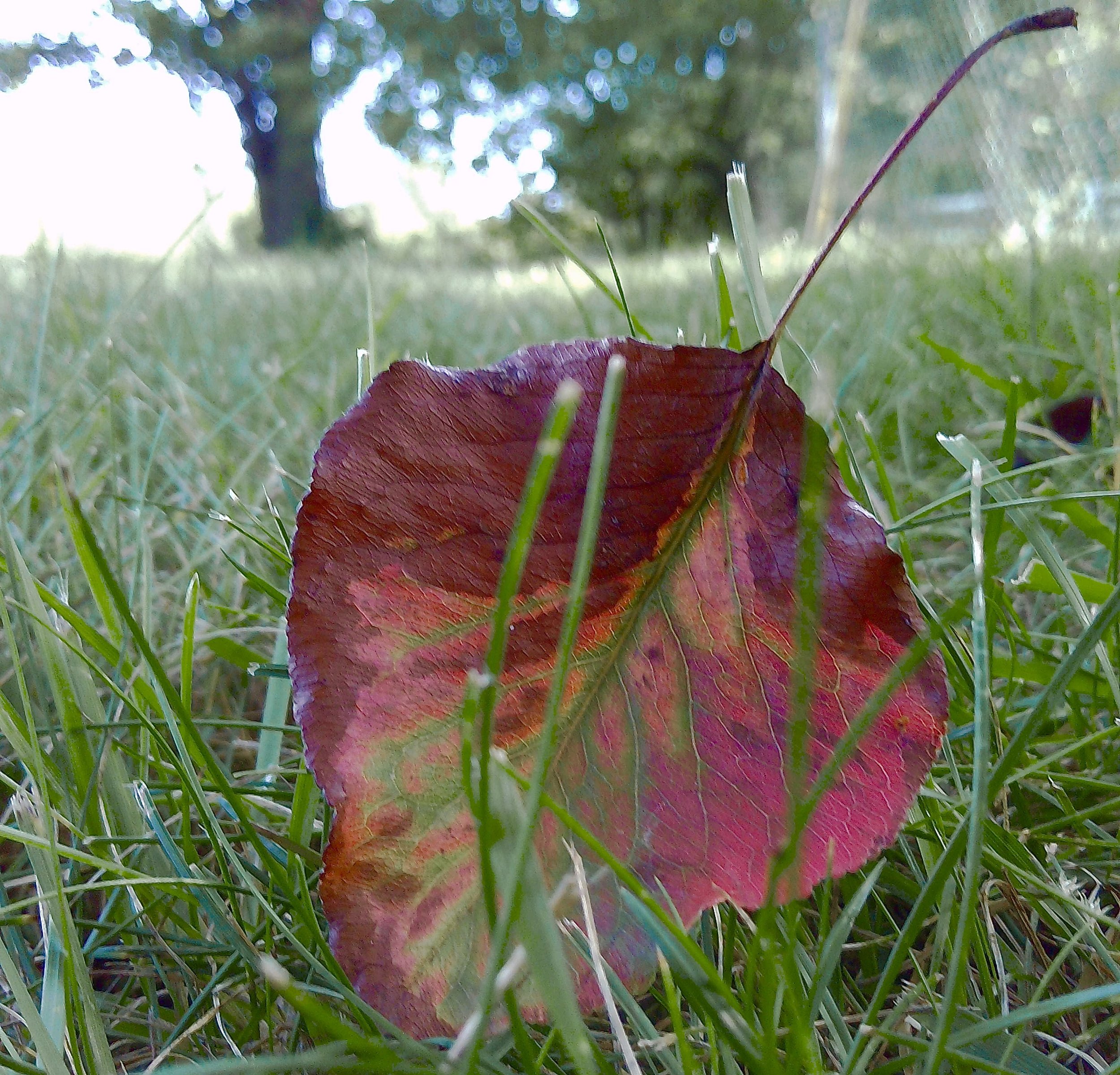 PICT0049.jpg