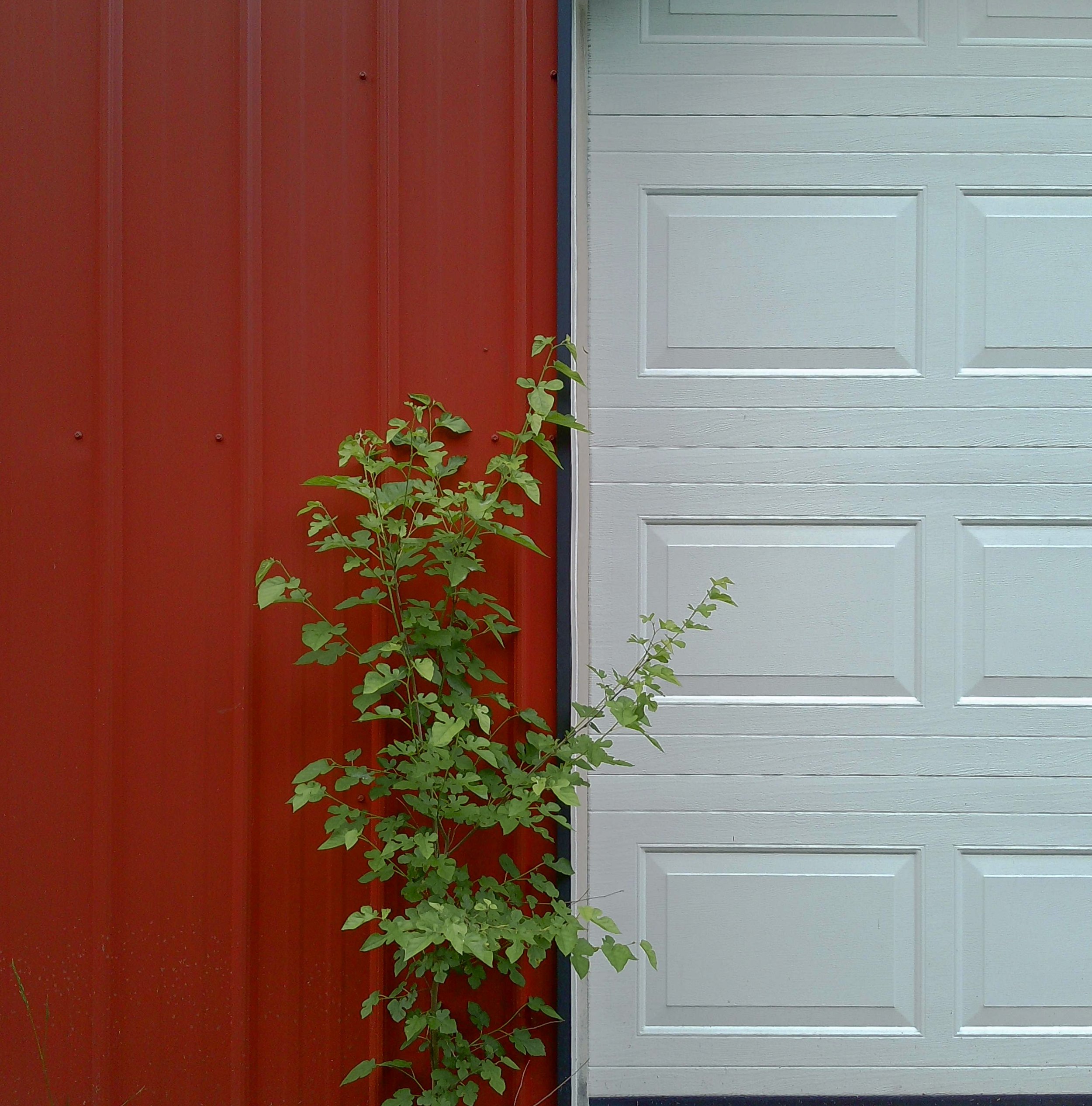 PICT0073.jpg