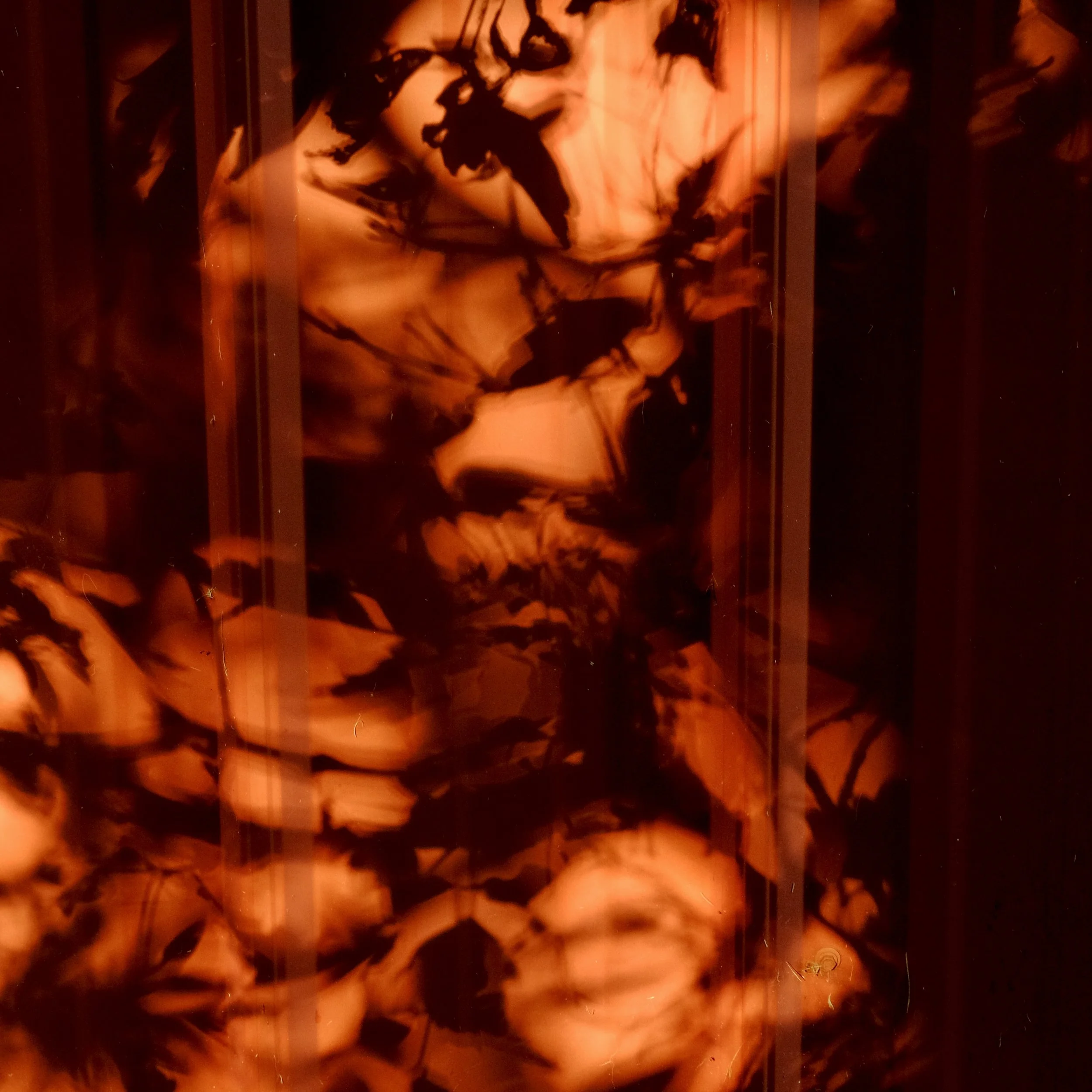 DSCF9470.JPG