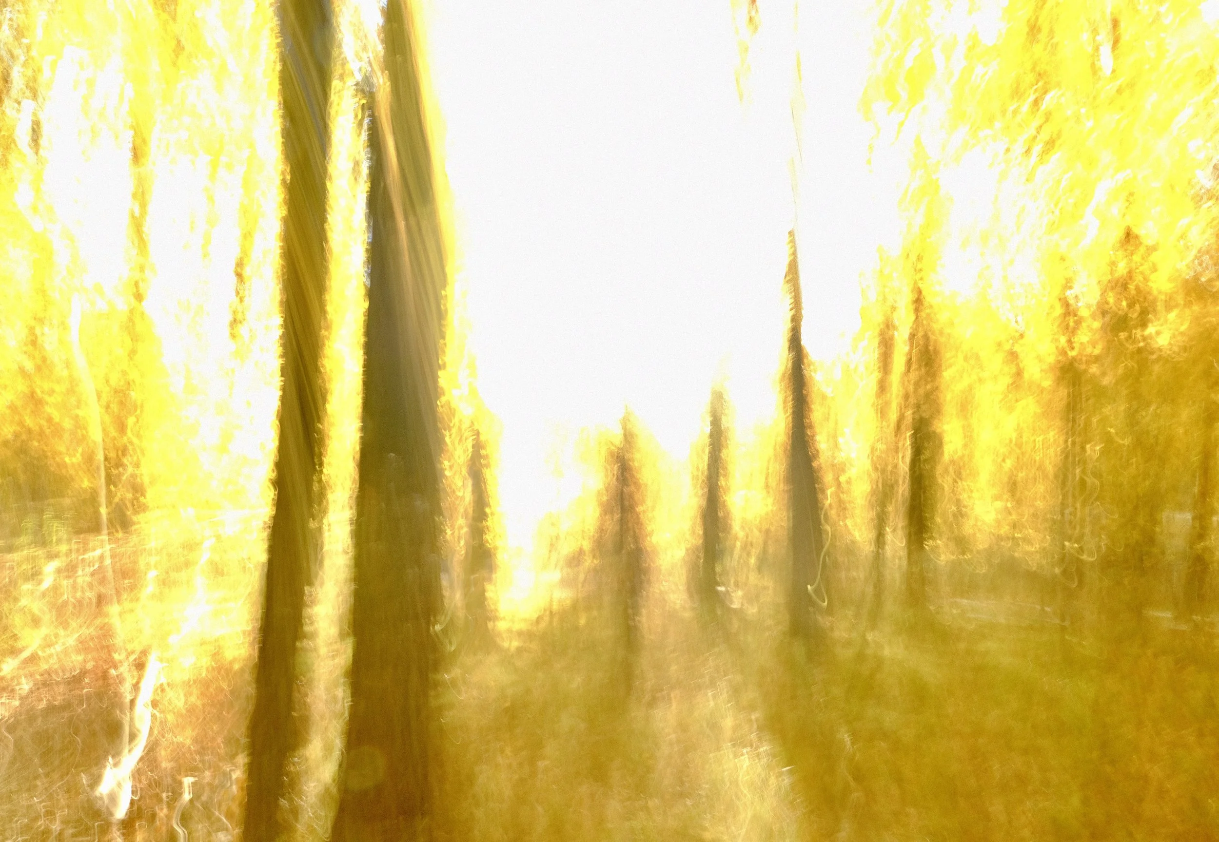 DSCF7268.JPG