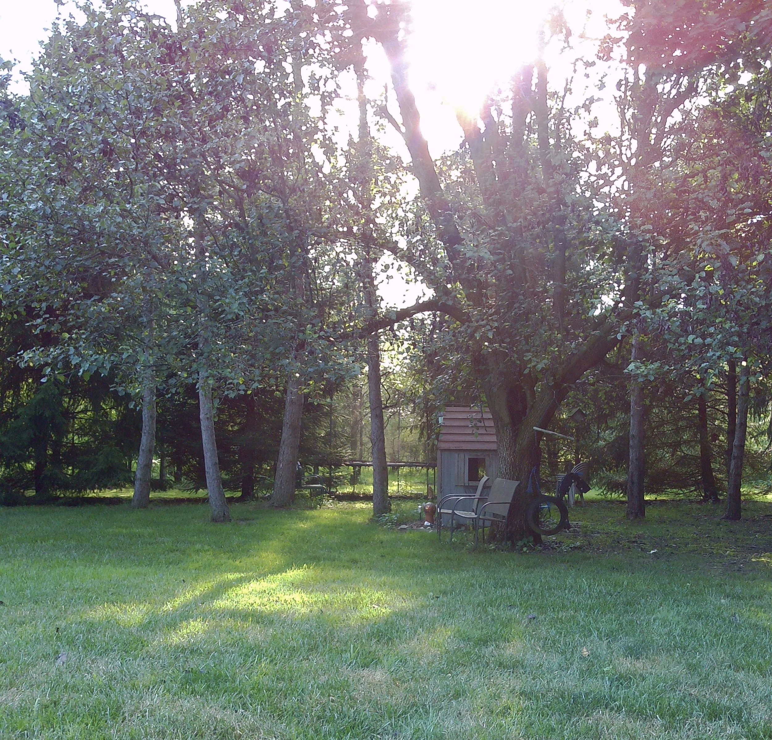 PICT0045.jpg