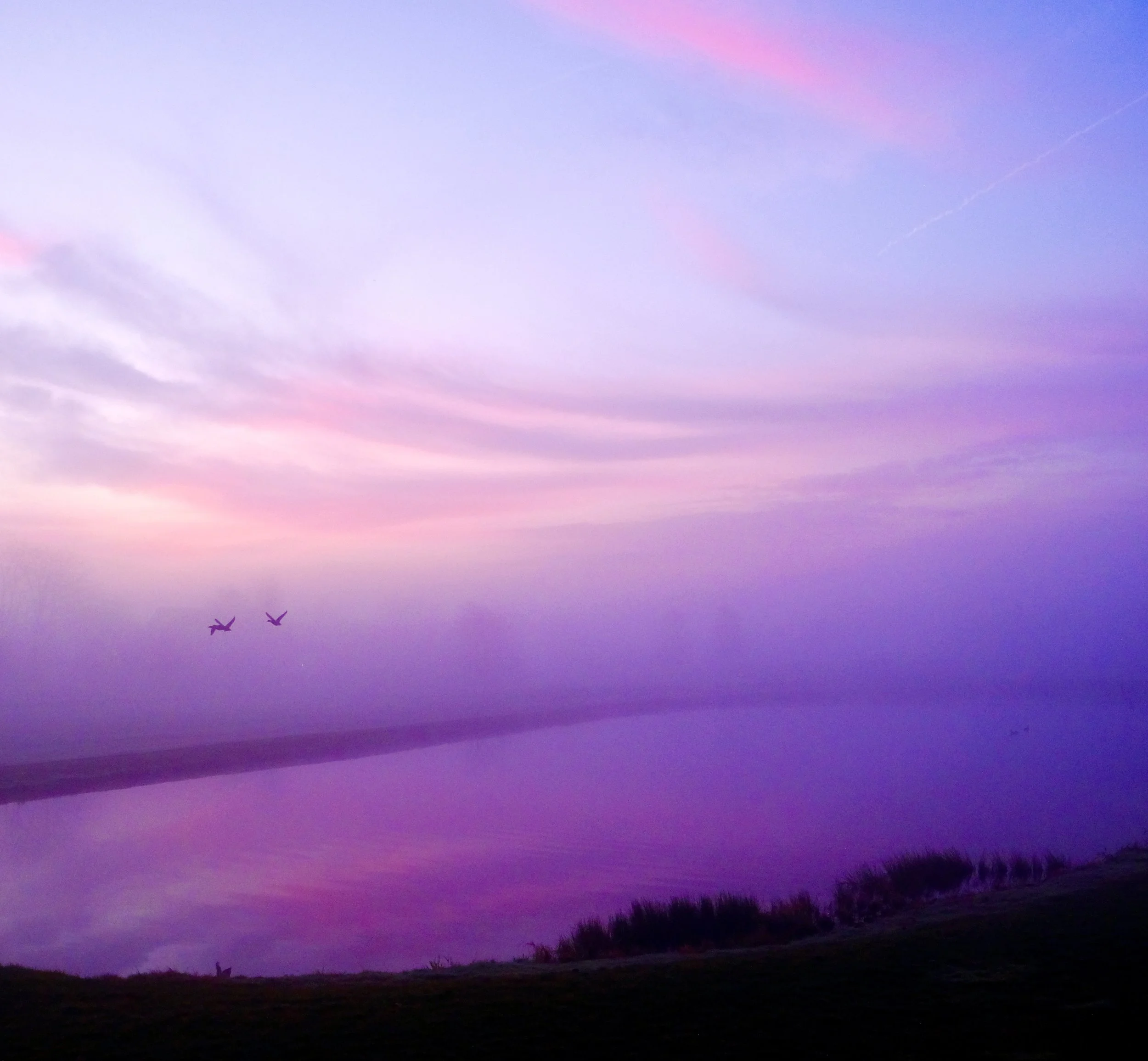 DSCF4455.JPG
