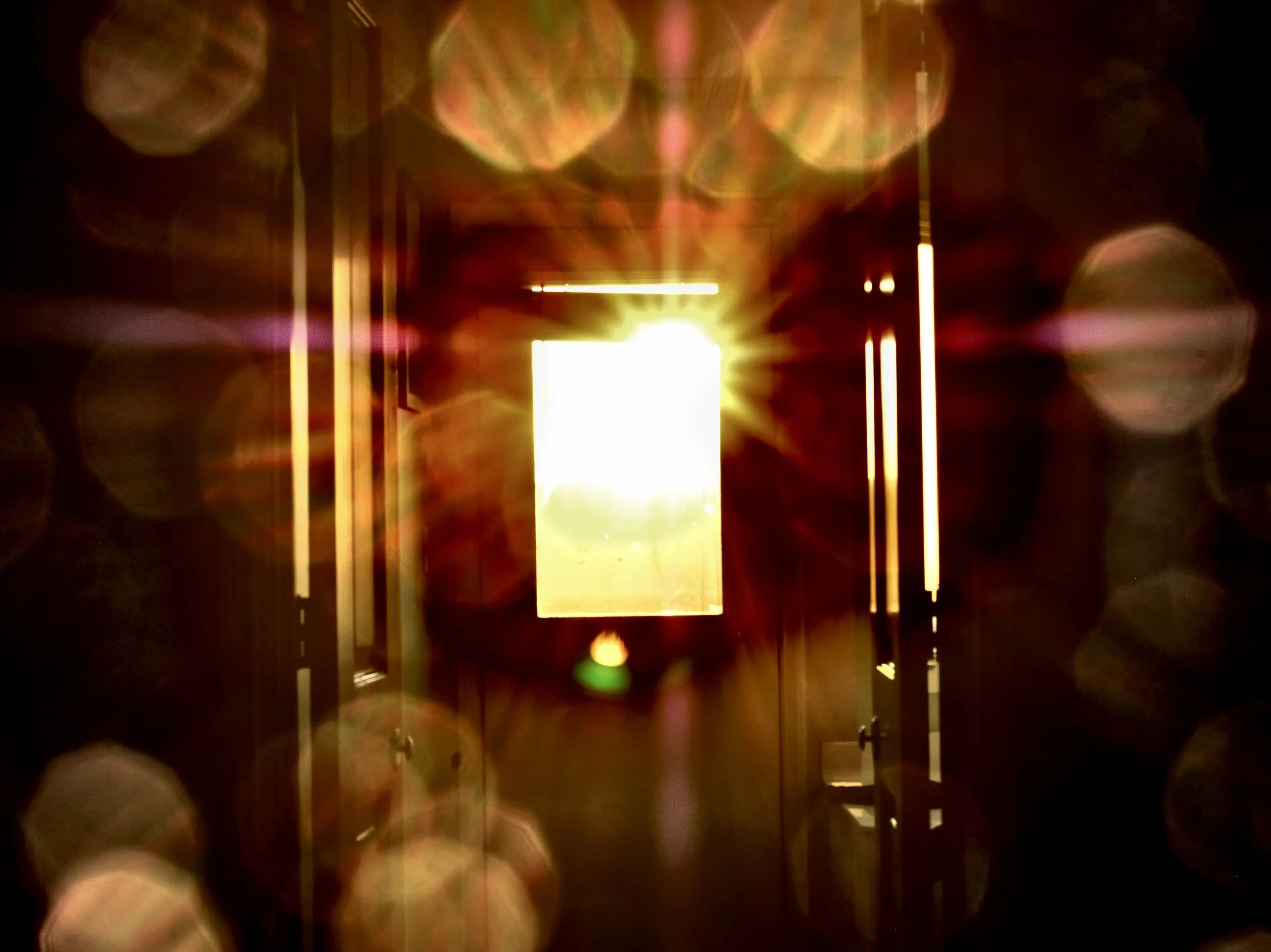 DSCF9679.JPG