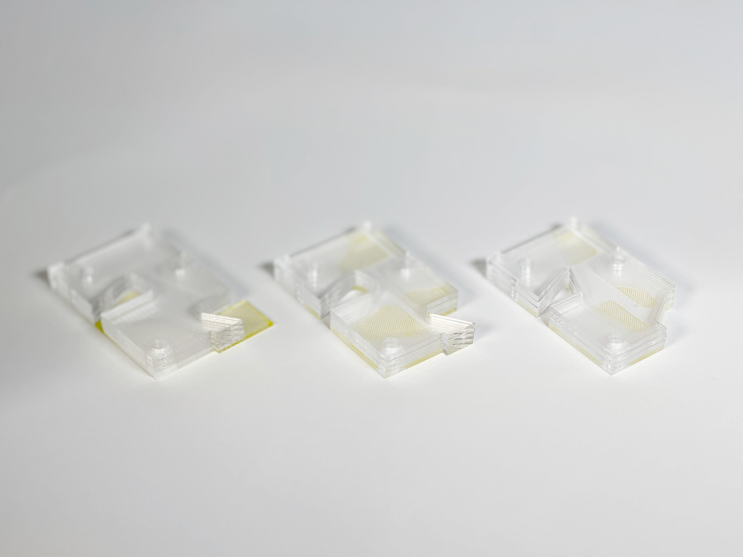 Final_Model Photo_Plexi 2_02.jpg