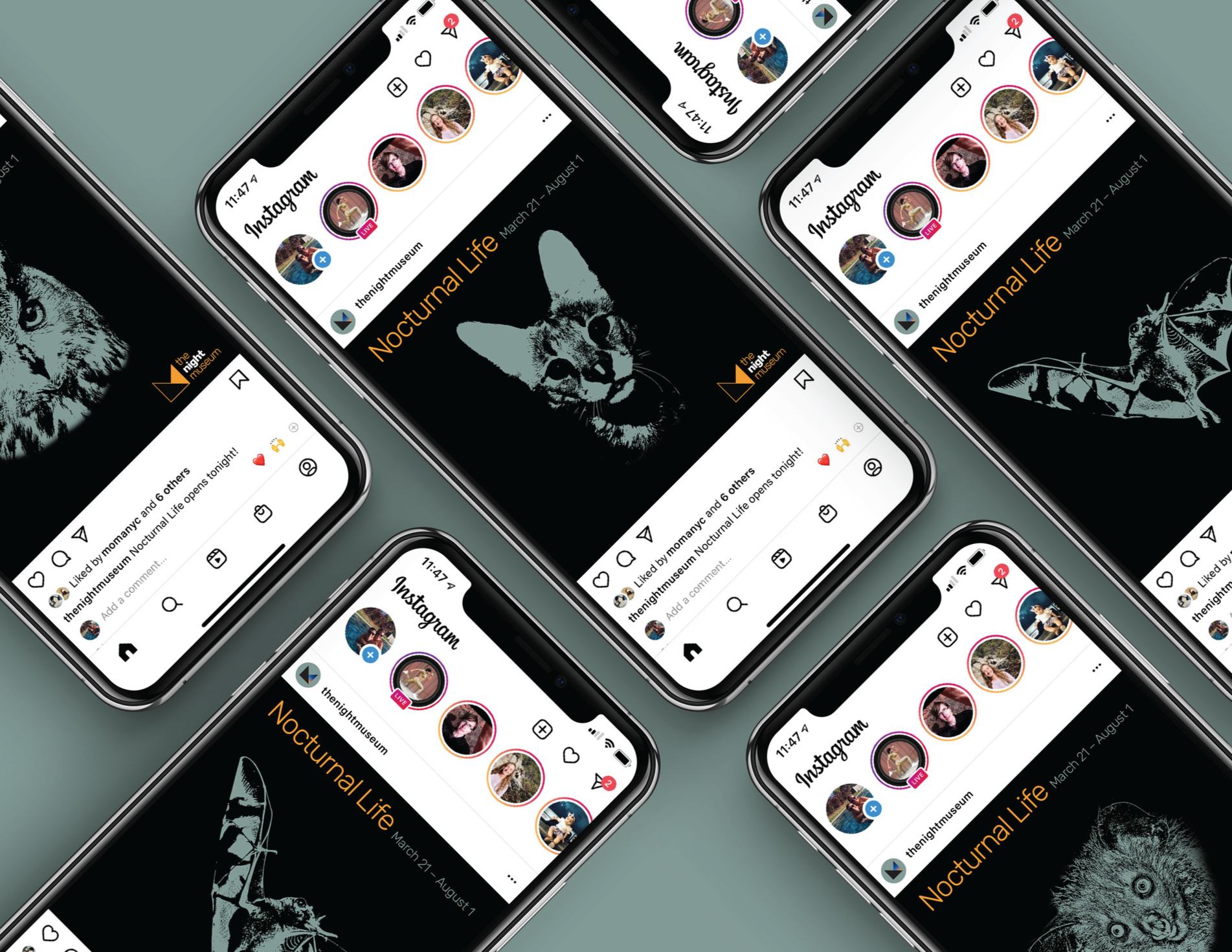 Brand/Identity | The Night Museum