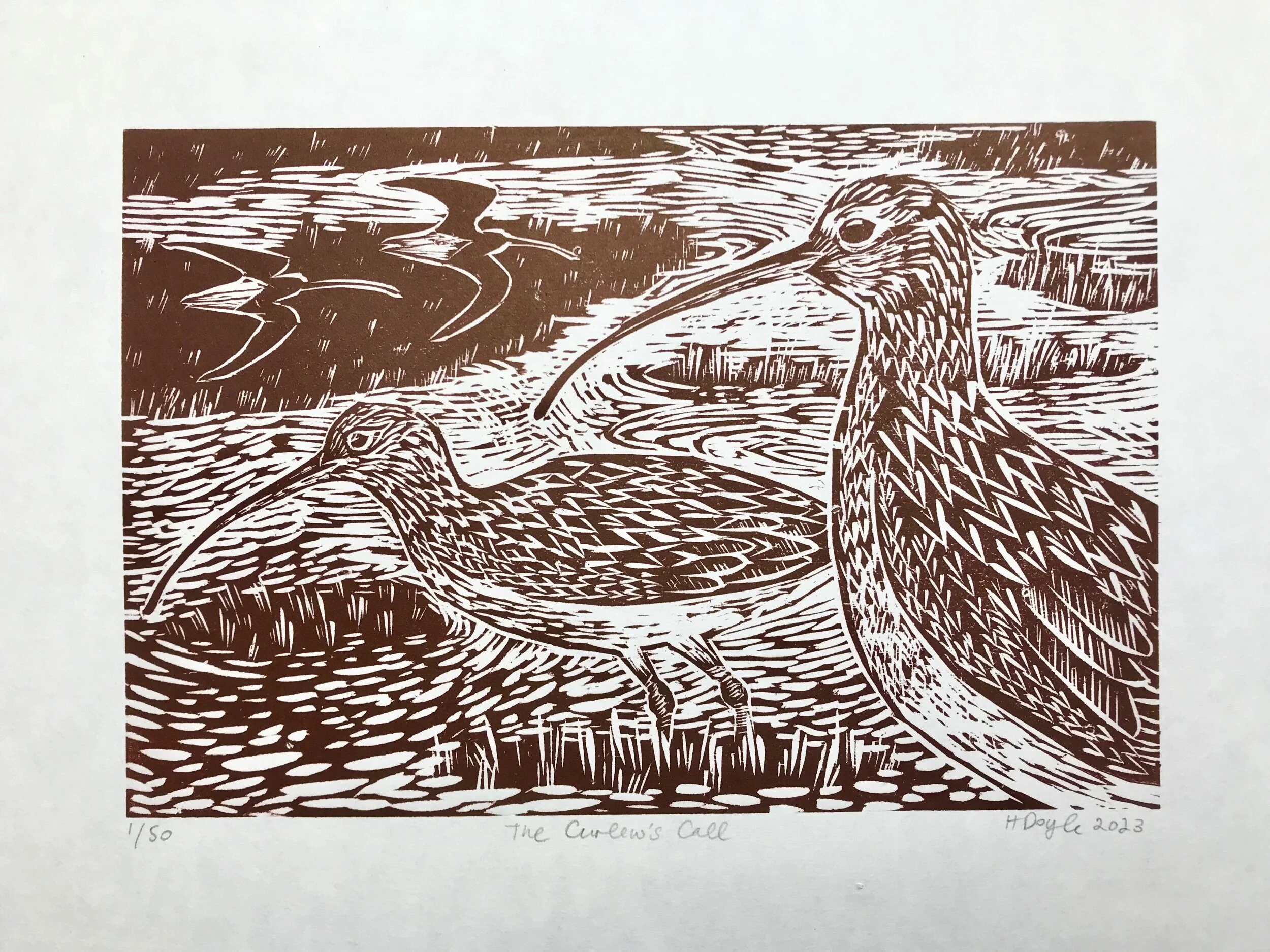 B558251C-5DB5-40C3-A525-624E88CEFEBD