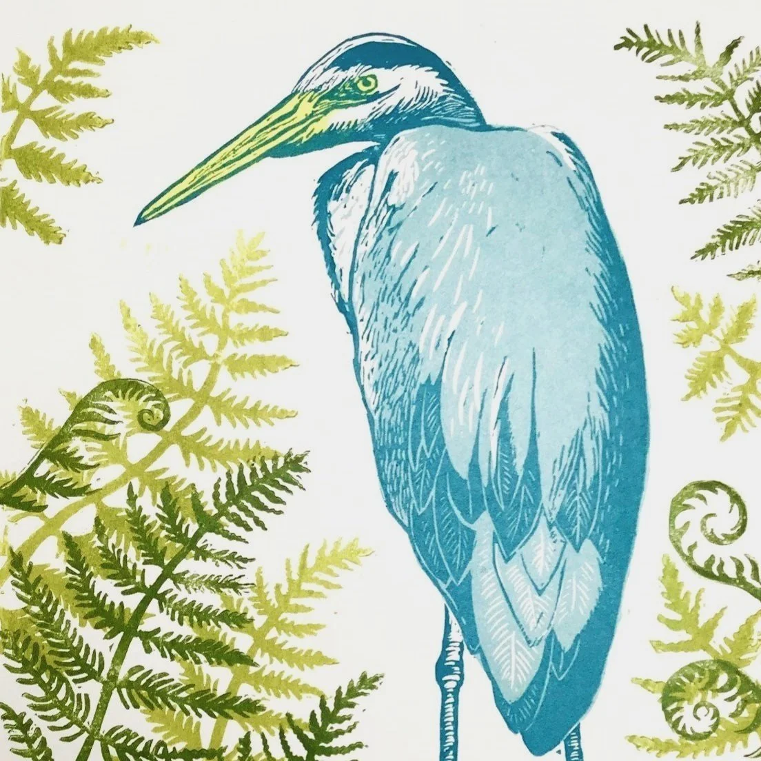 Heron.jpg