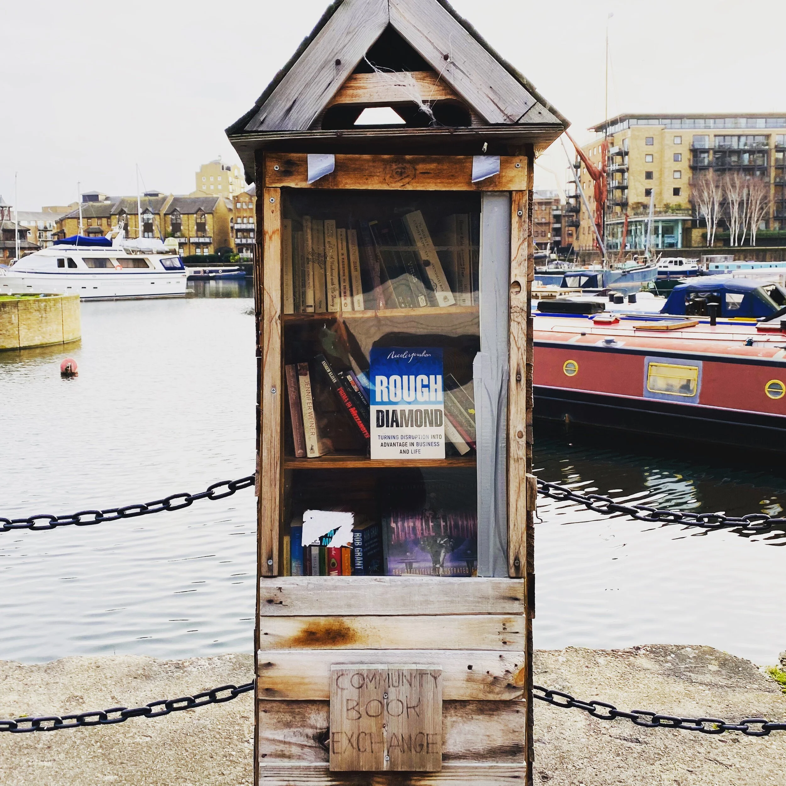 Give Away 'Rough Diamond' - Kindle for FREE during Covid April/May 2020