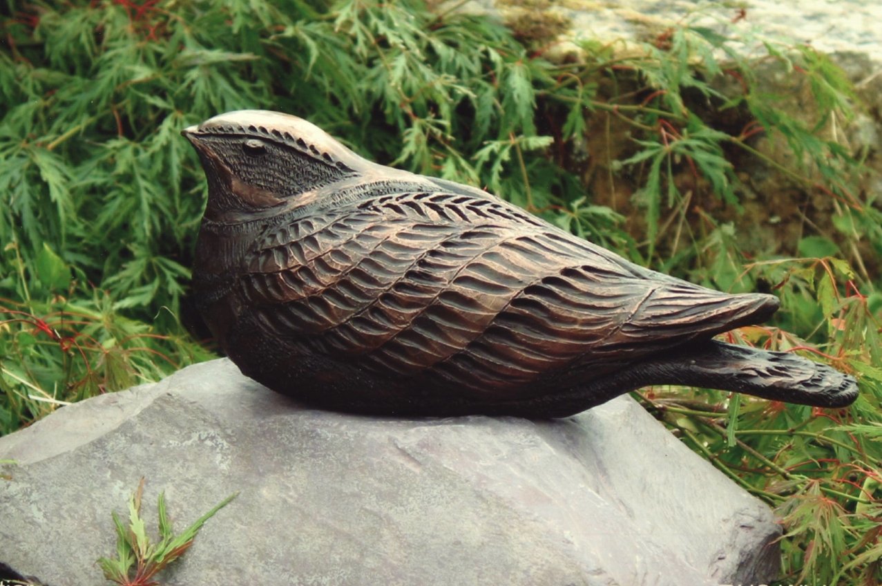 Nightjar copy.jpg