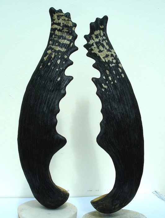 Whale salutation maquette in graphite.jpg