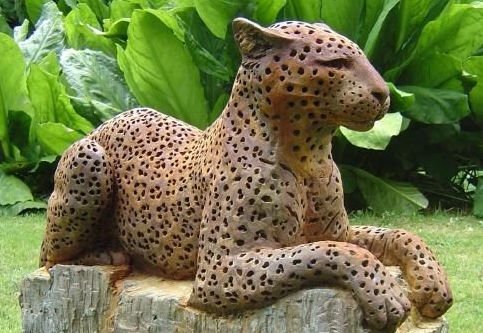 pater pardus.jpg