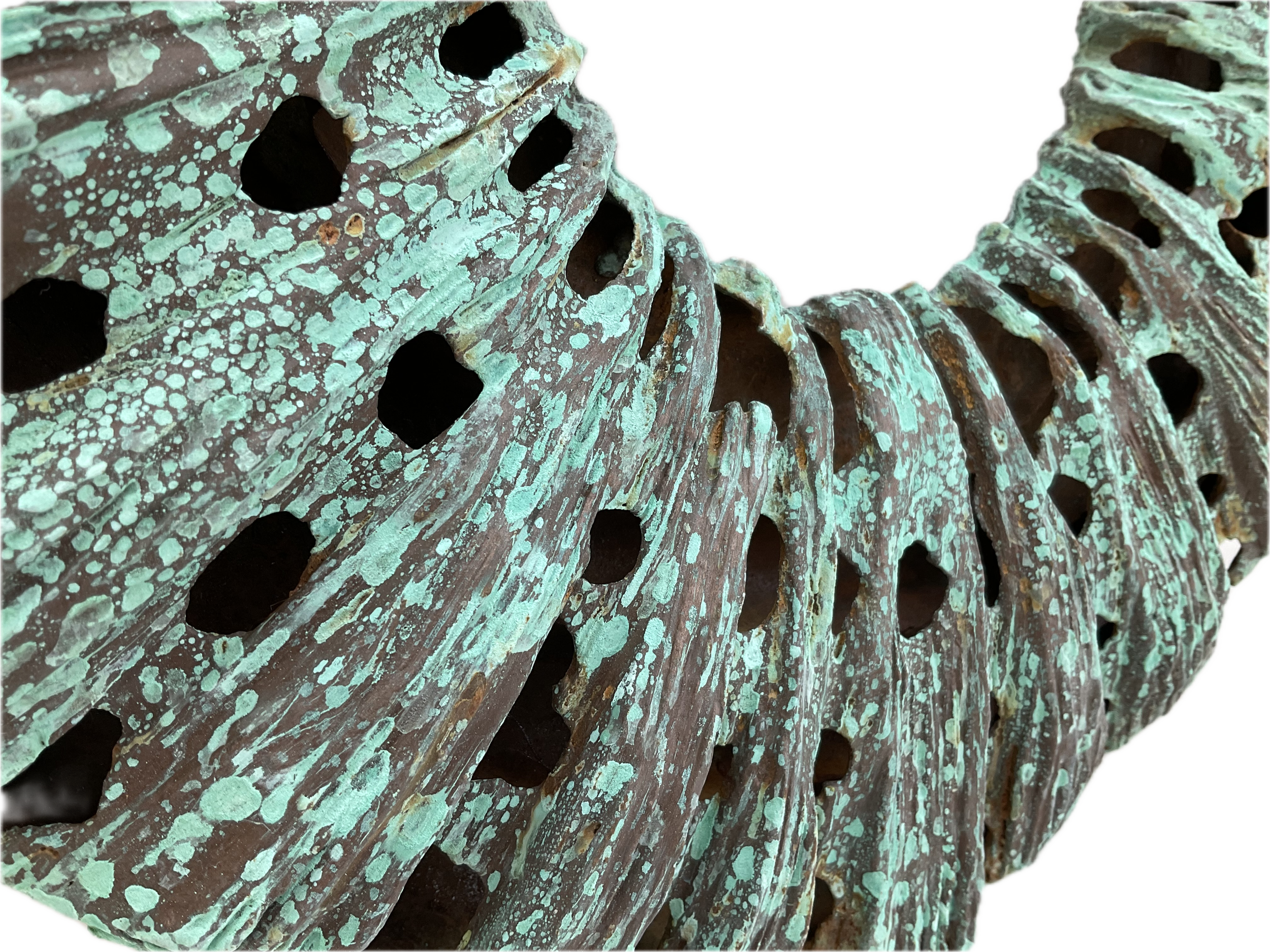 Whale Shark Spotting detail- Teresa Martin.png