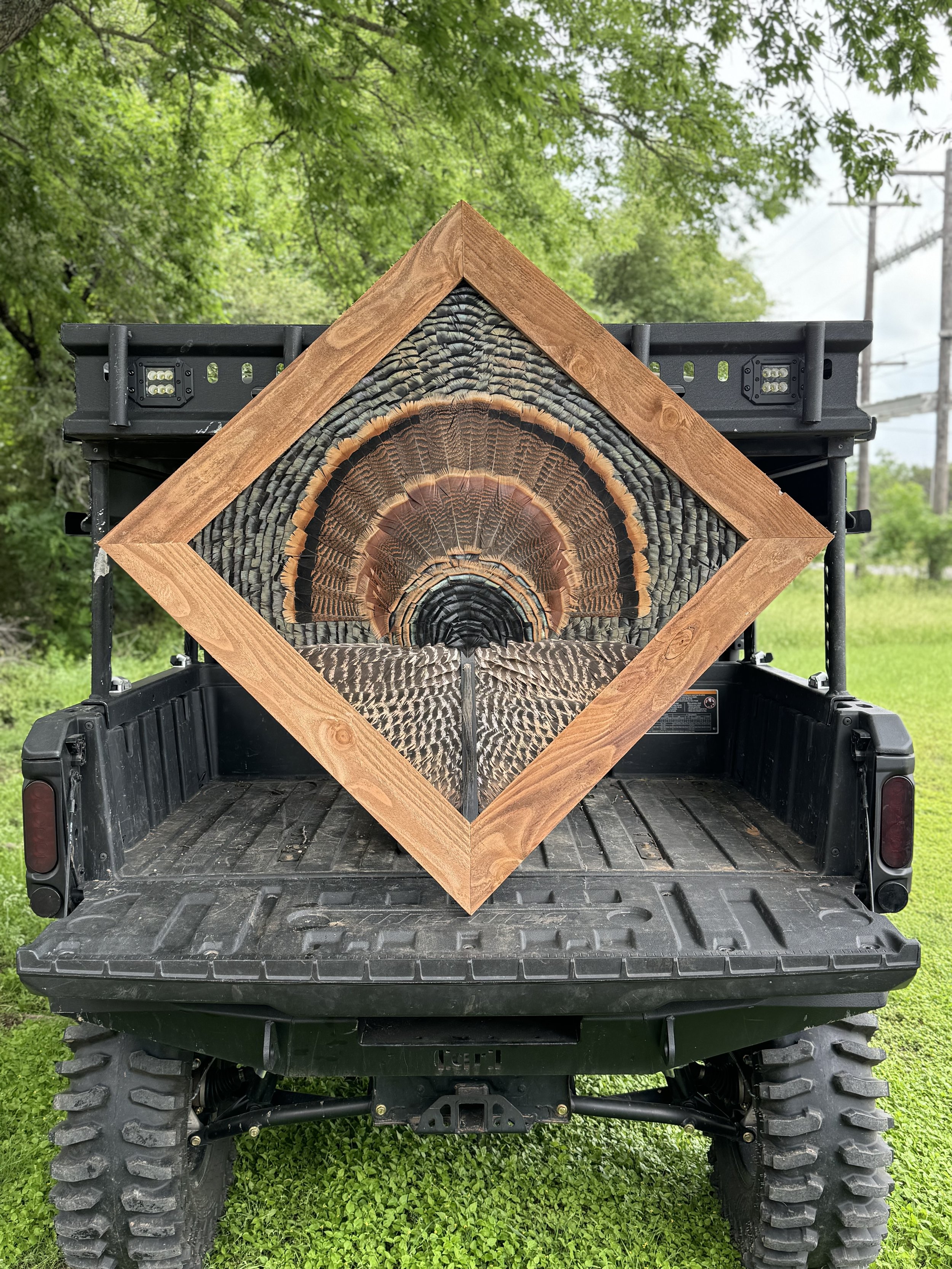 Turkey Display