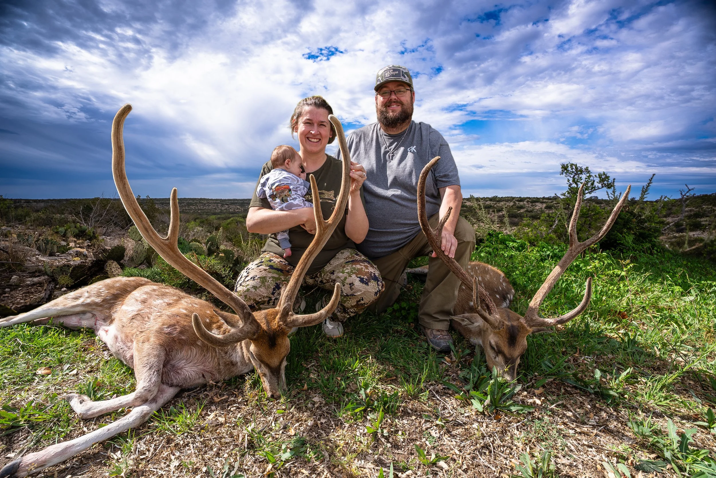 deer-field-2.jpg