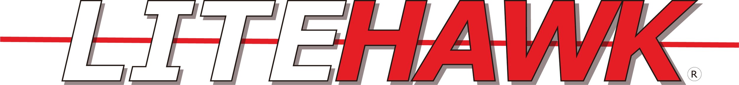LiteHawk logo.jpg